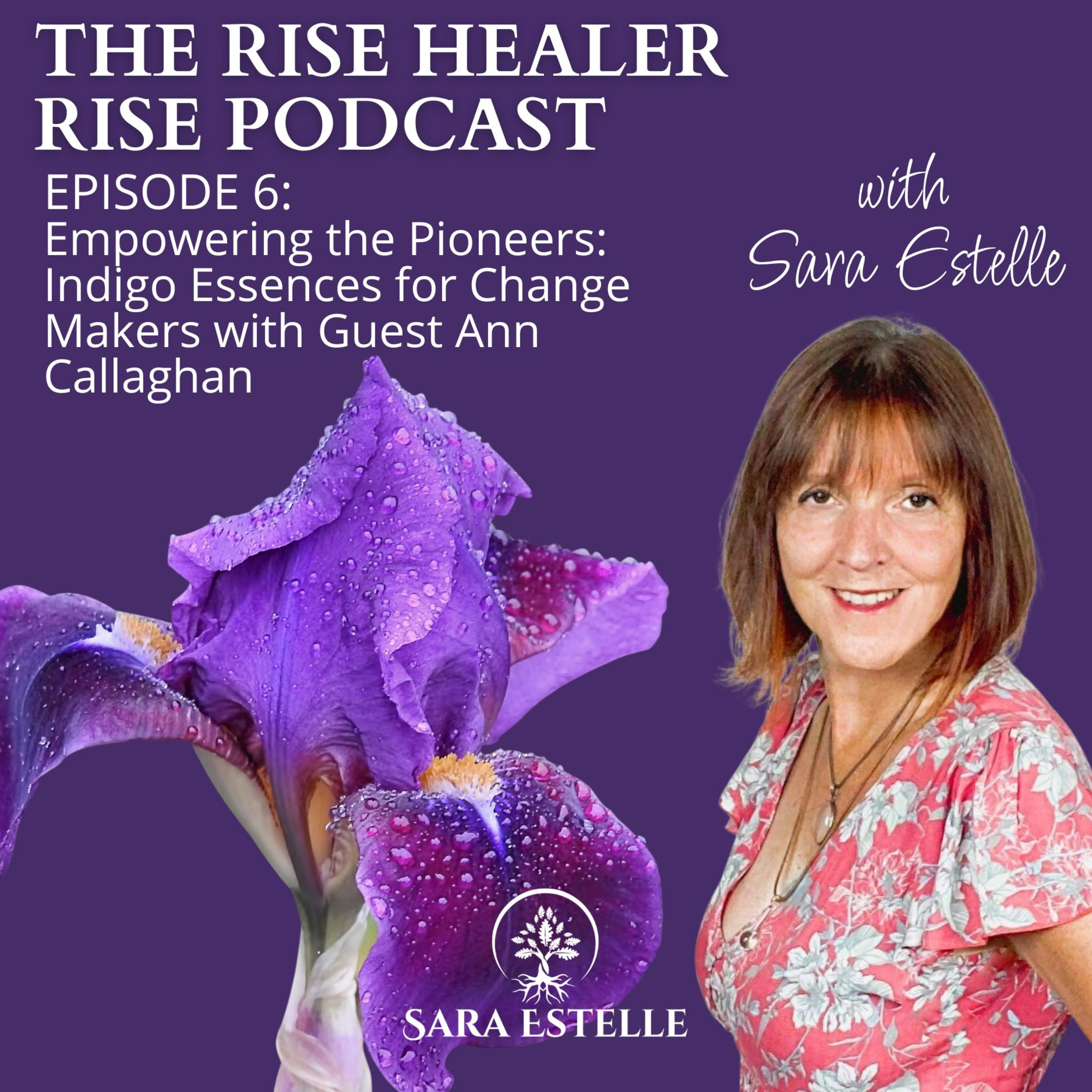 Ep. 6 - Empowering the Pioneers: Indigo Essences for Change Makers with Guest Ann Callaghan episode artwork