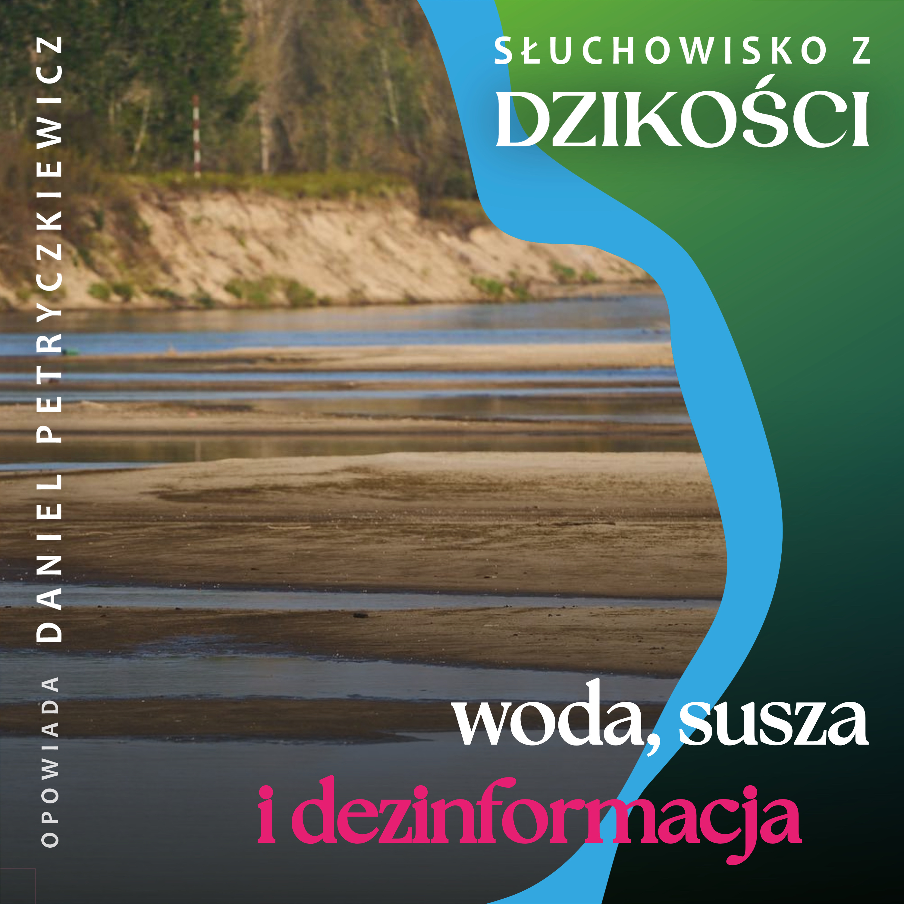 Słuchowisko z dzikości