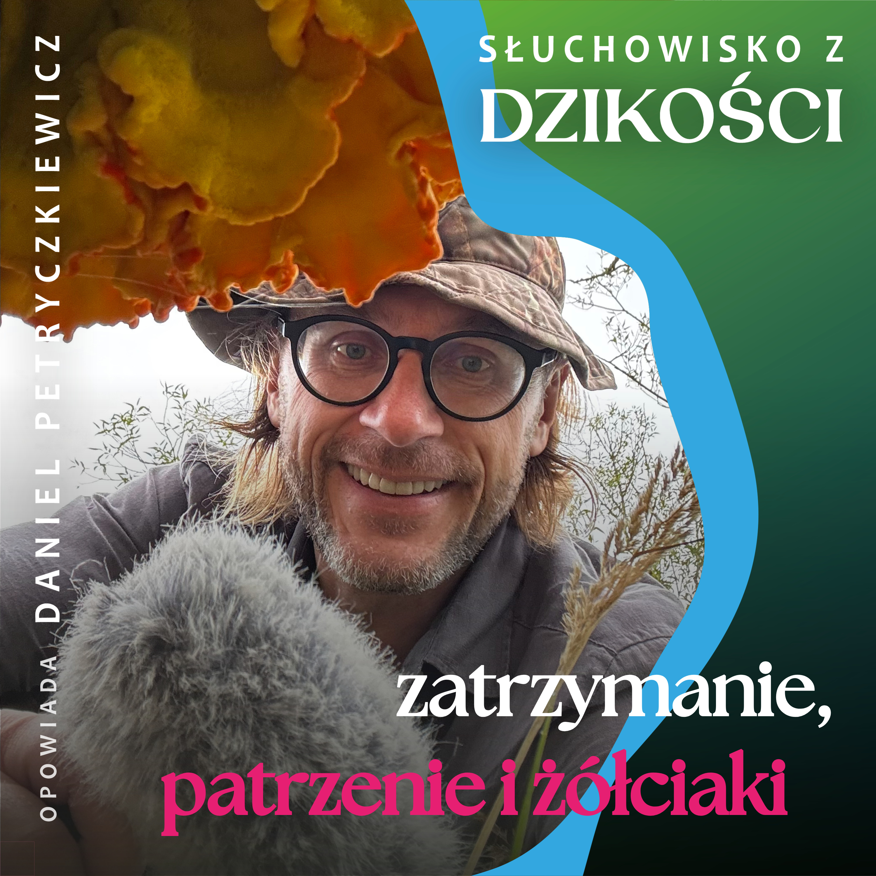 Słuchowisko z dzikości