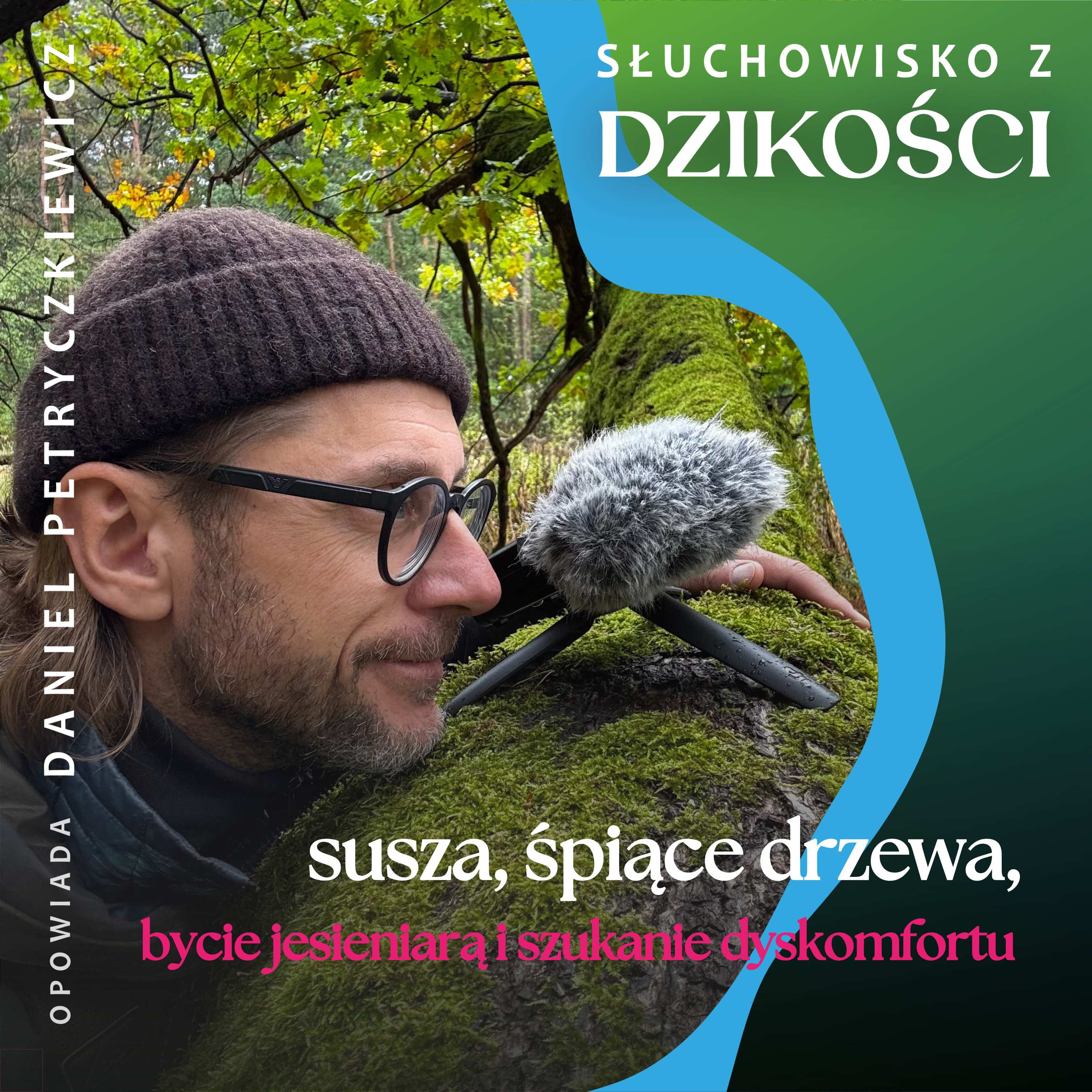 Słuchowisko z dzikości