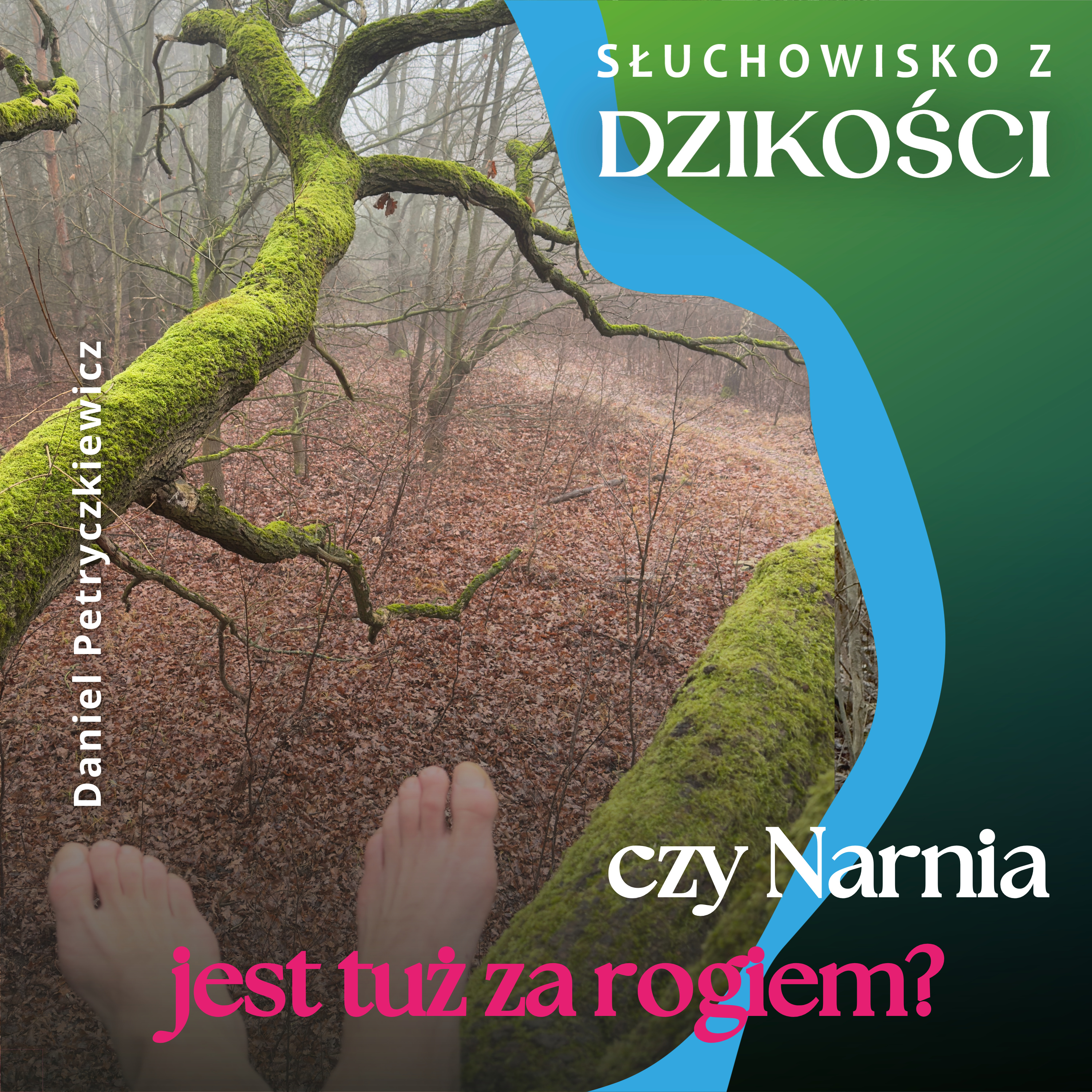 Słuchowisko z dzikości
