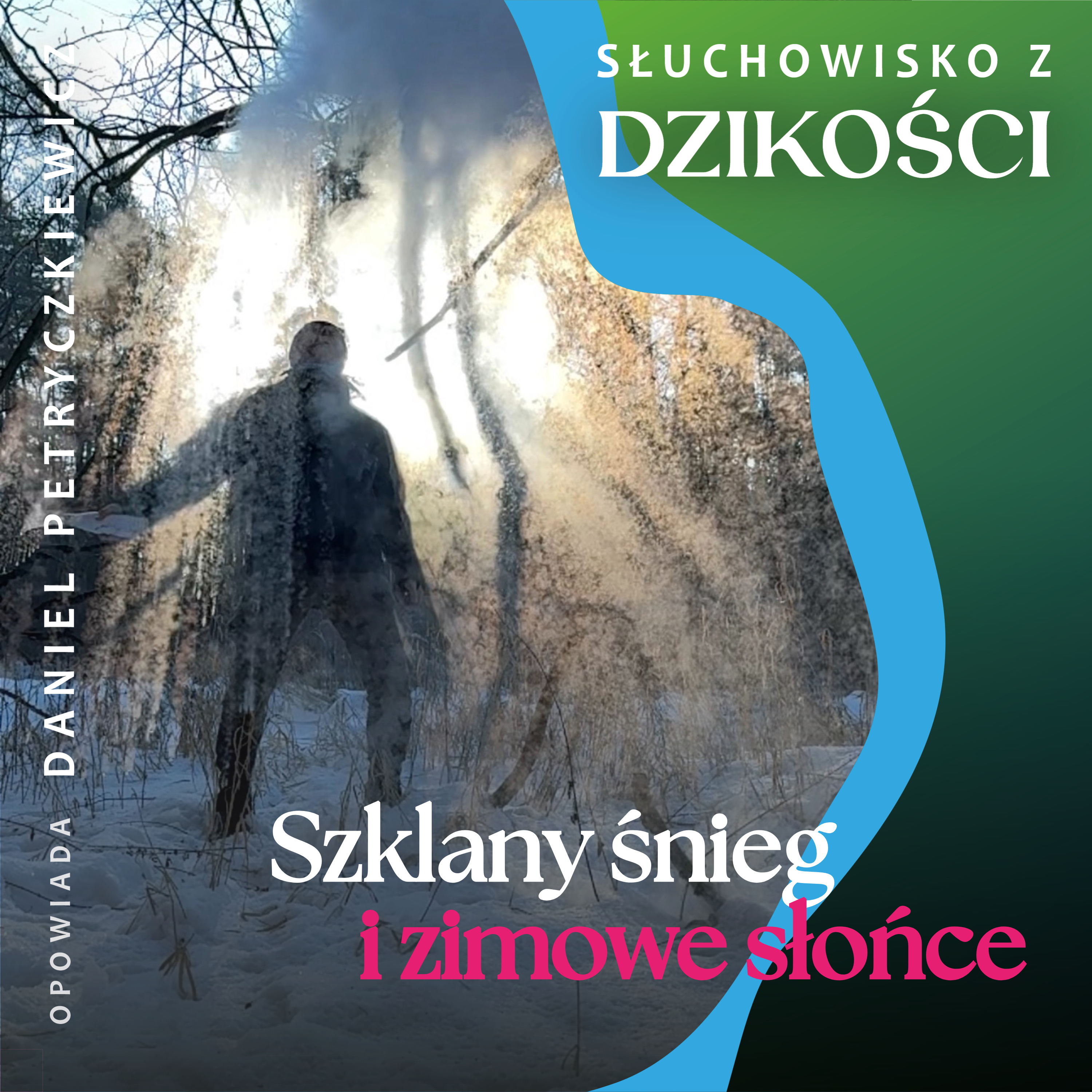 Słuchowisko z dzikości