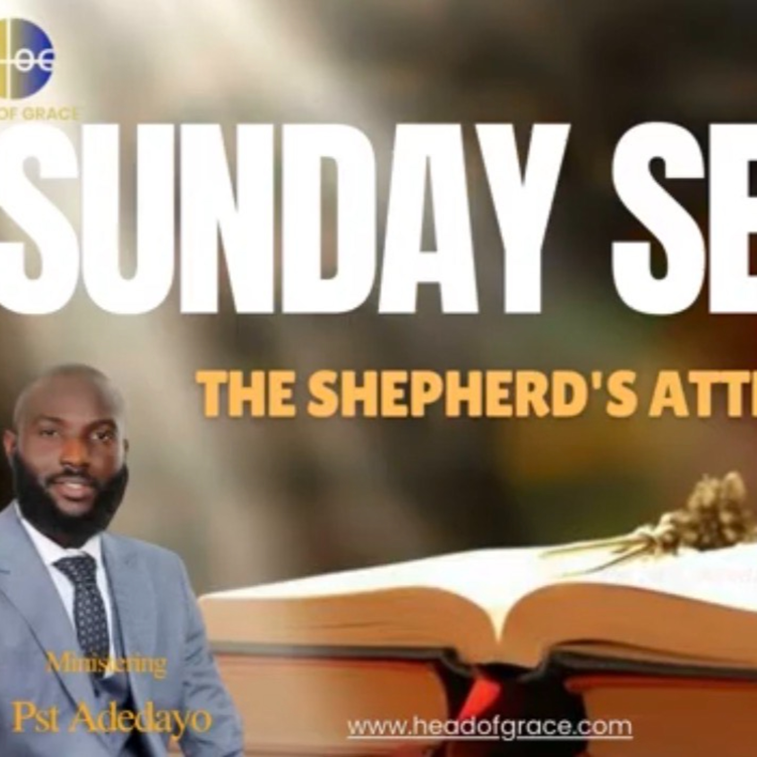 The Shepherd's Attraction episode artwork