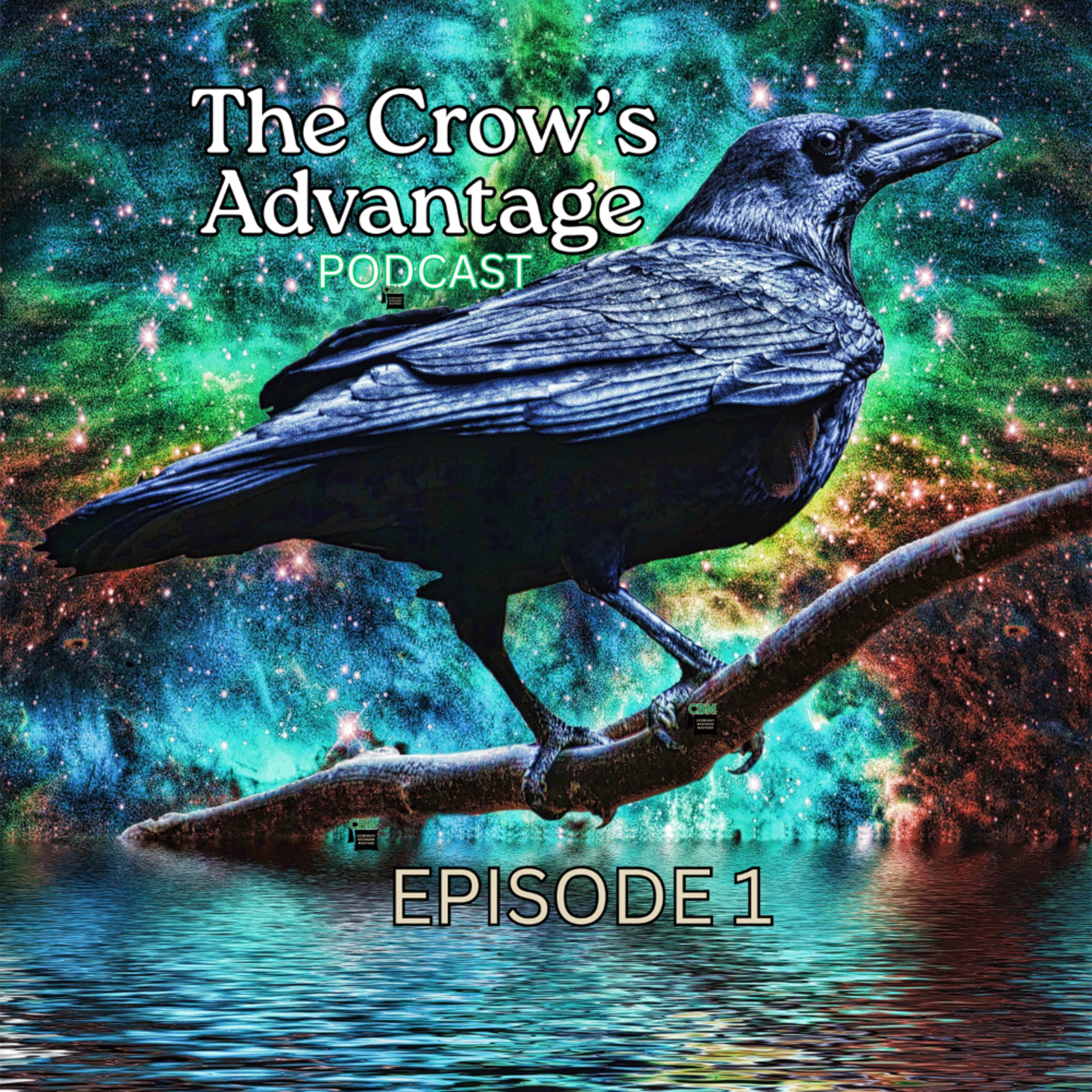 Episode 1: The Crow's Eye View: Elevating Financial Practice episode artwork