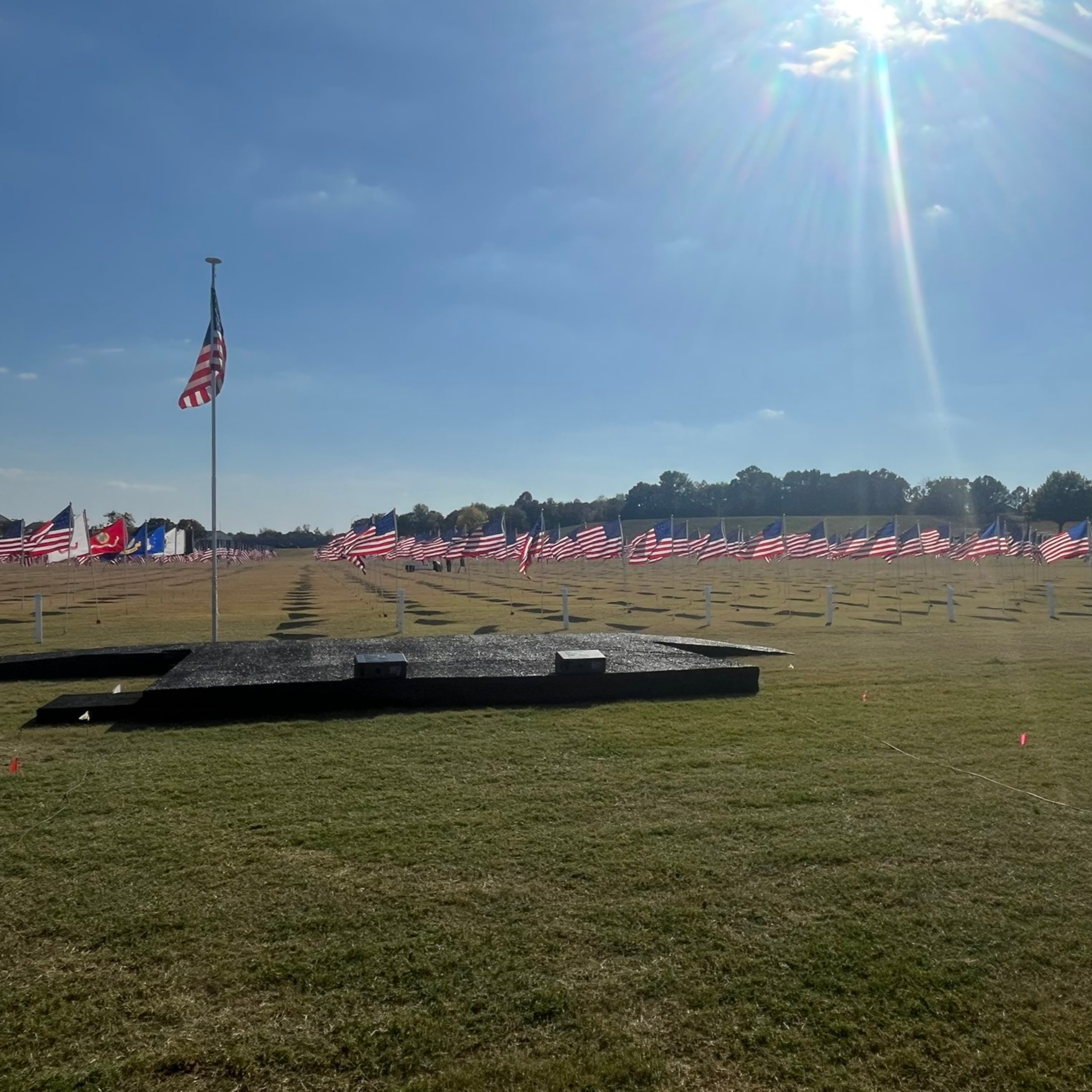 Texas gets ready to mark Veterans Day episode artwork