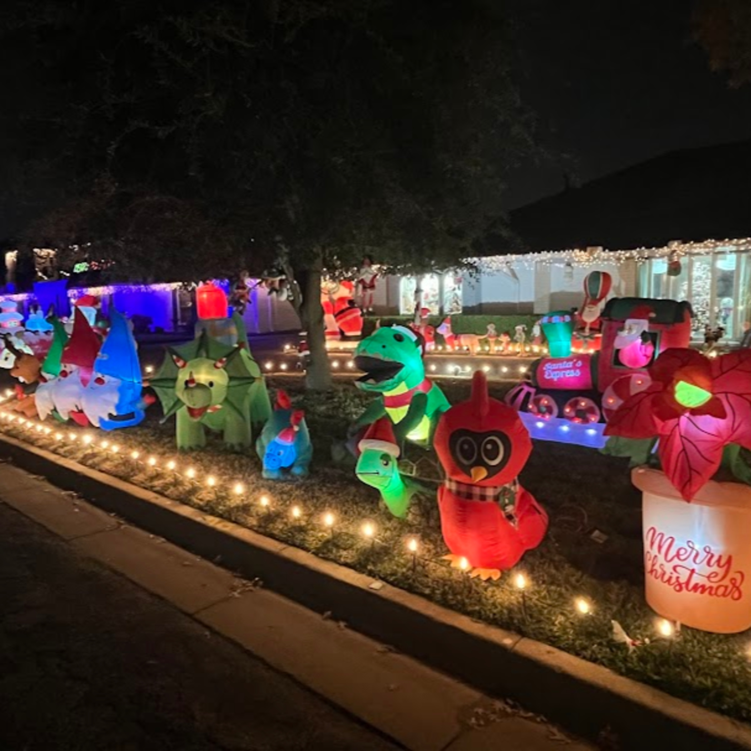 The Lights at Interlochen are one of the most popular holiday displays in North Texas episode artwork