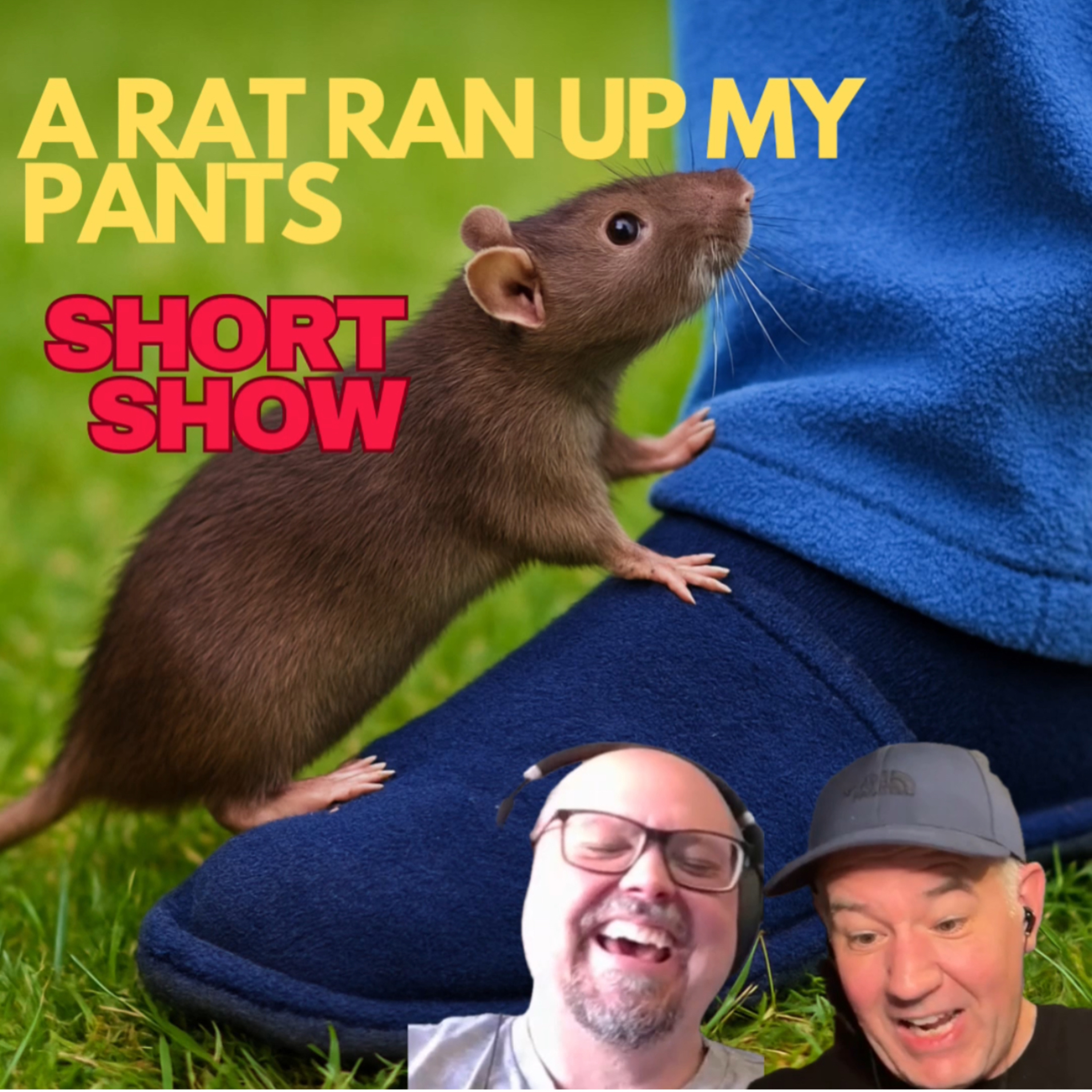 A Rat Ran Up My Pants | Short Show #2 episode artwork