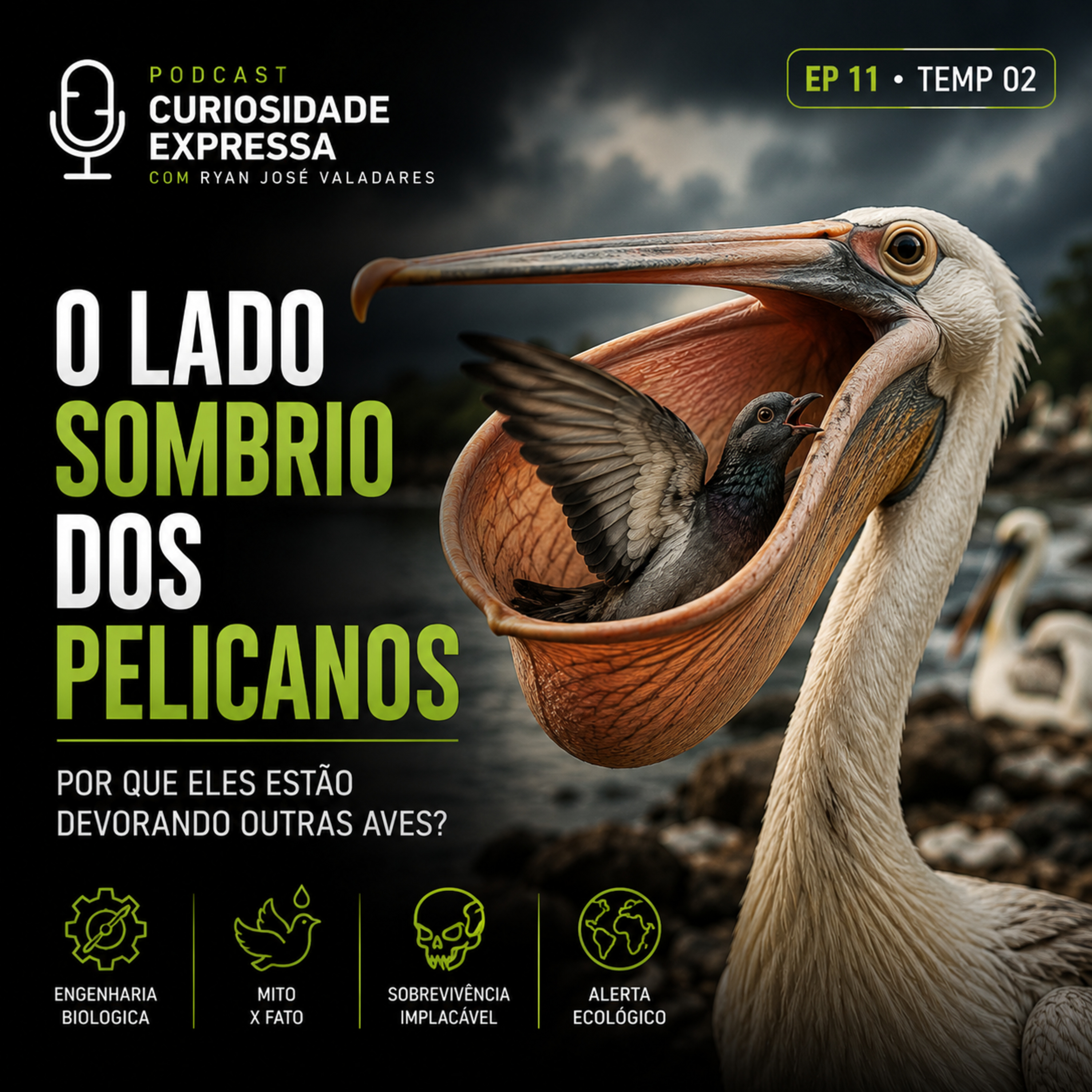 O Lado Sombrio dos Pelicanos: Por Que Eles Estão Devorando Outras Aves? episode artwork