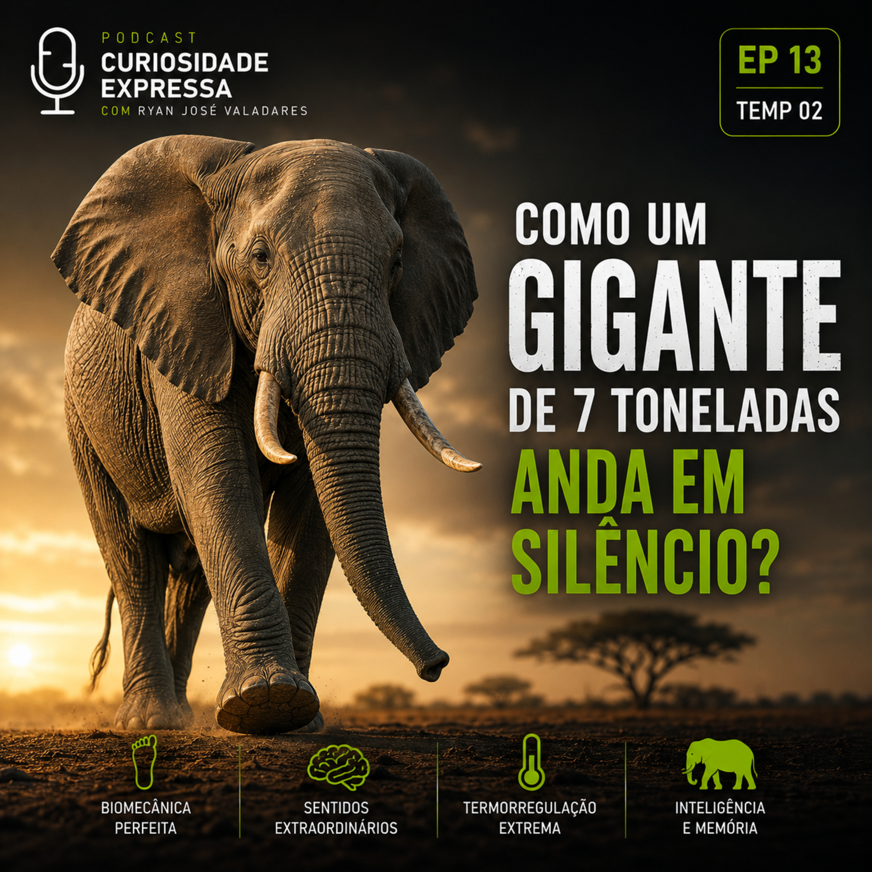 Como um Elefante Gigante de 7 Toneladas Anda em Silêncio? episode artwork