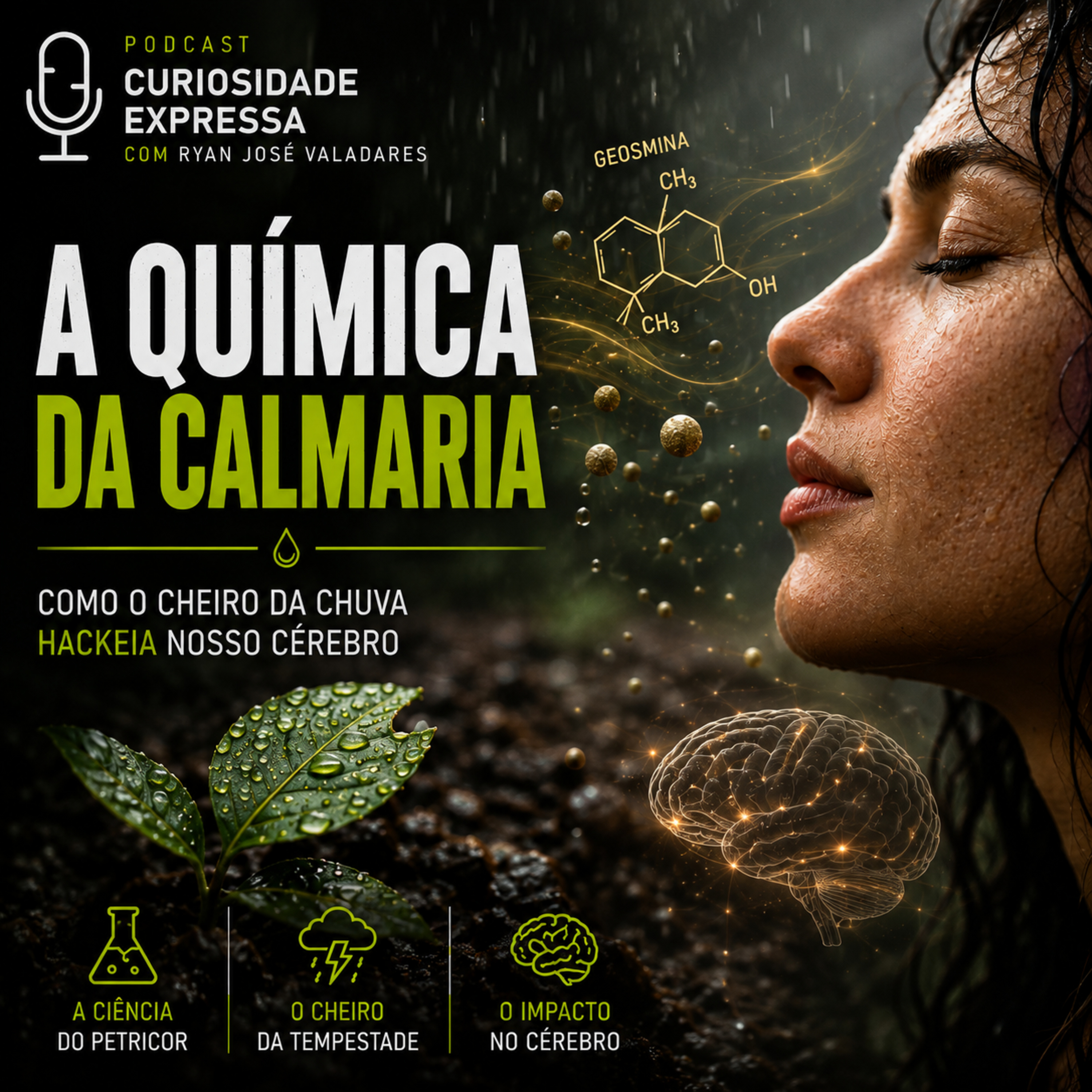 A Química da Calmaria: Como o Cheiro da Chuva Hackeia Nosso Cérebro episode artwork