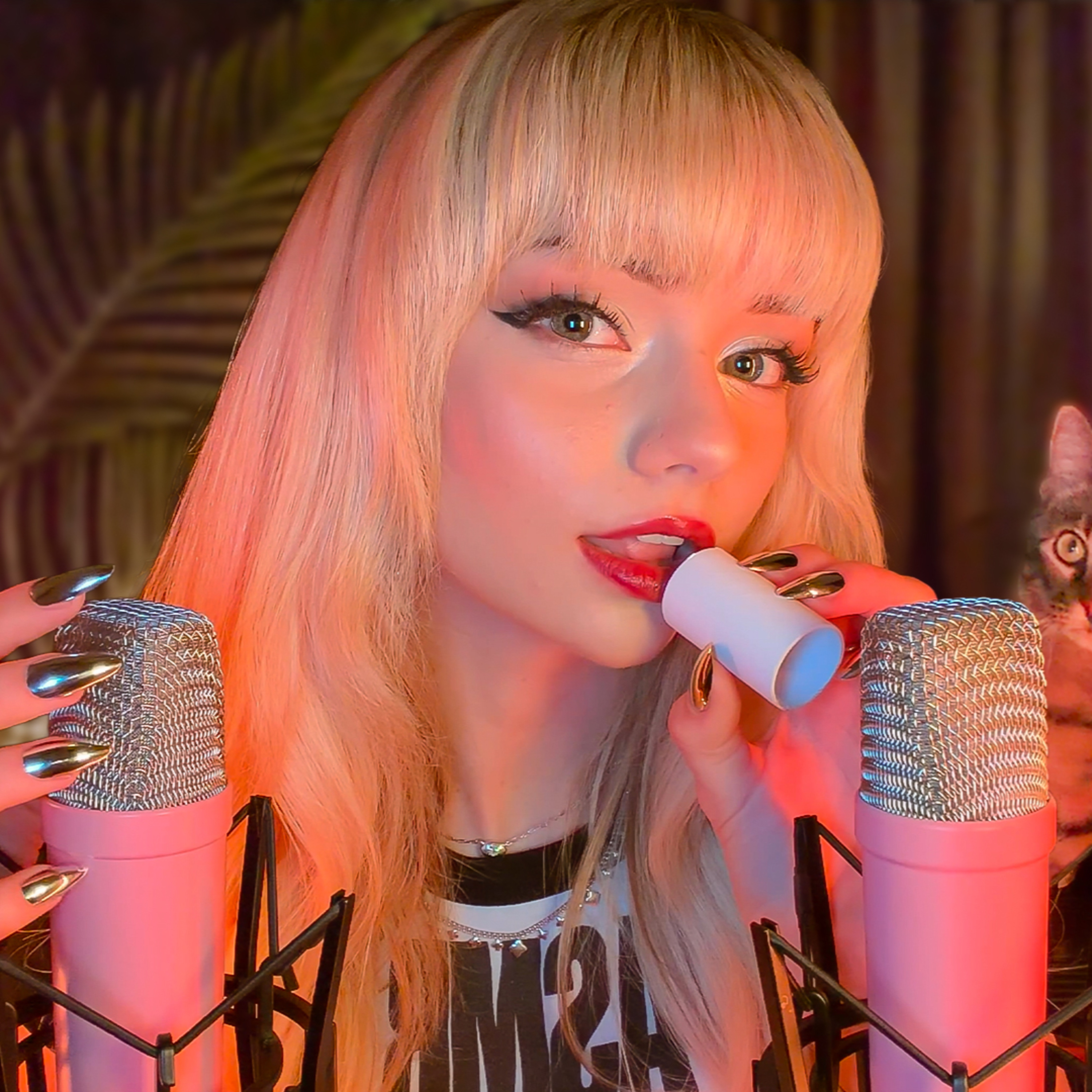 ASMR just go to sleep, man.