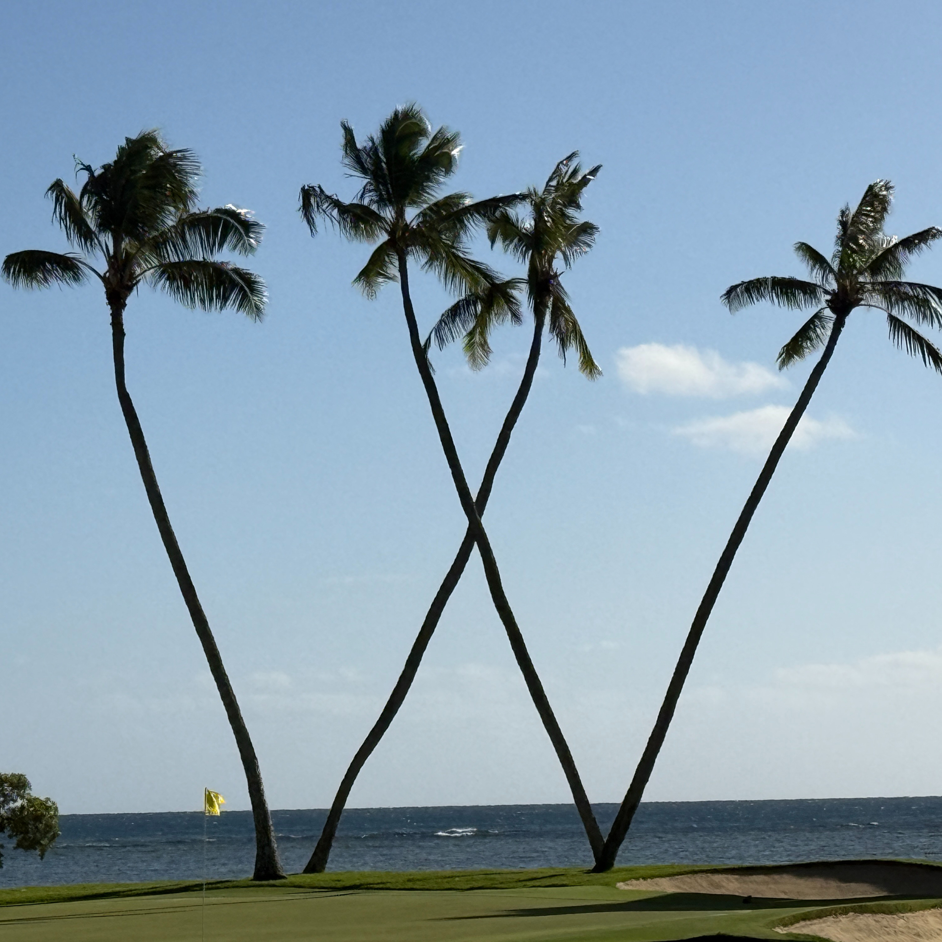  Sony Open in Hawaii 2026- Moana's Live report🏌️‍♀️2026-01-17-13:00 episode artwork