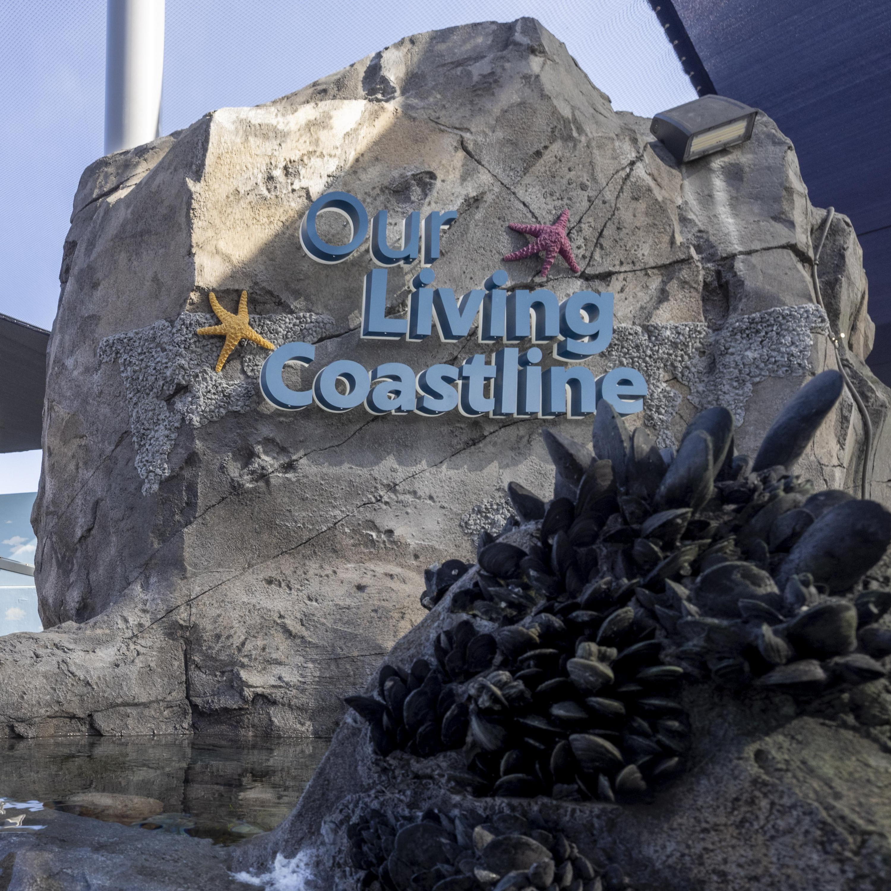 New Exhibit: Our Living Coastline