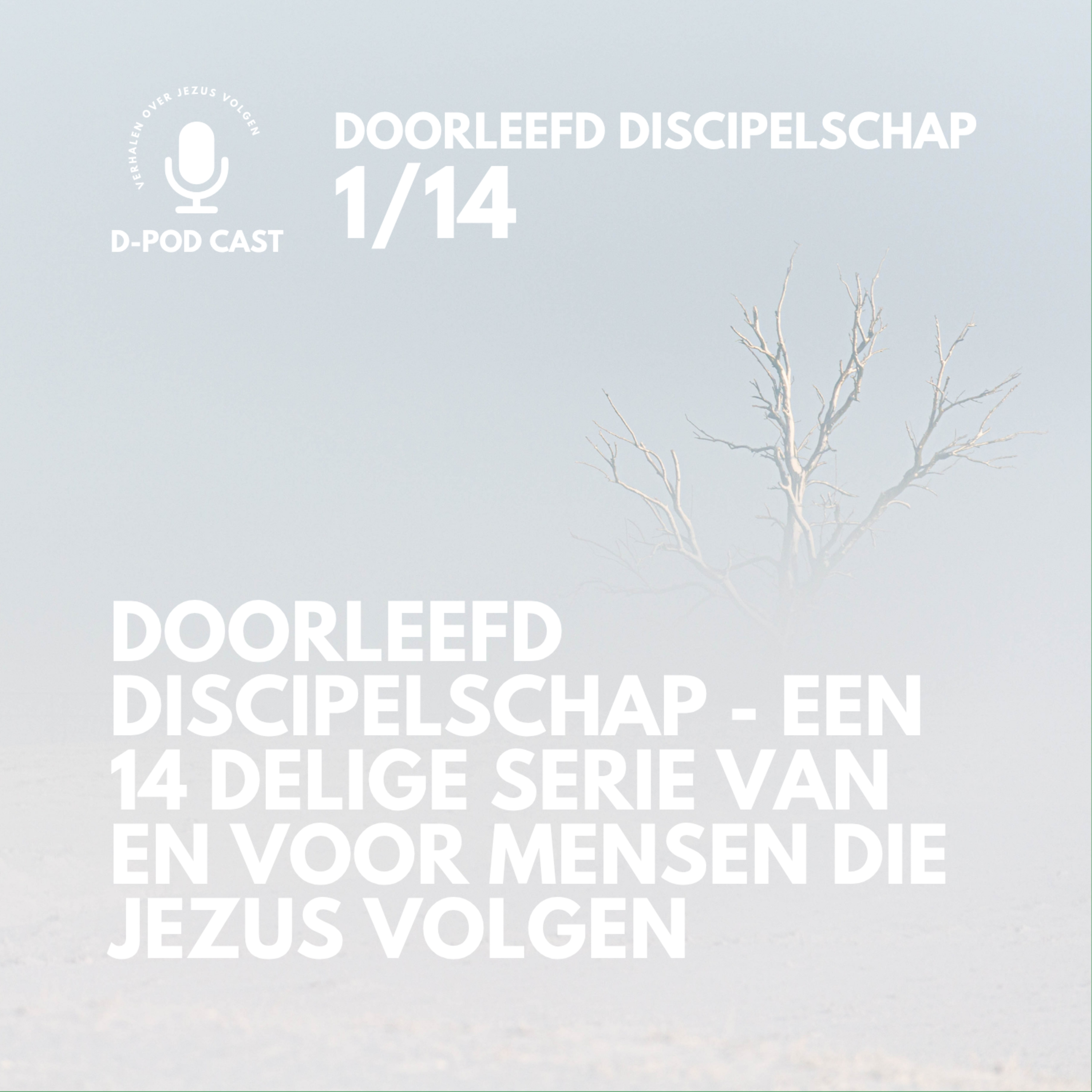 Doorleefd discipelschap: een 14 delige serie van én voor mensen die Jezus volgen episode artwork