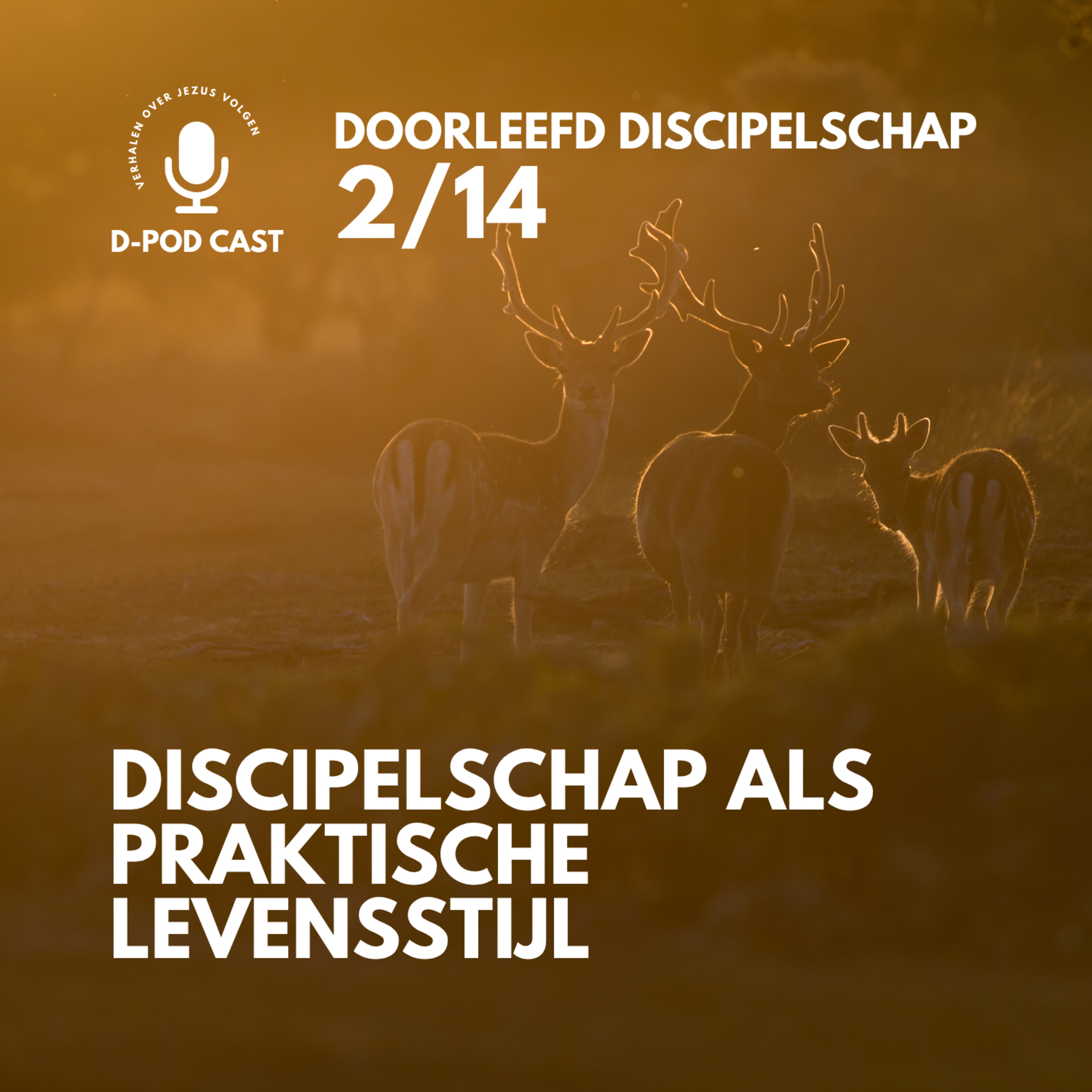 Discipelschap als praktische levensstijl l Mart-Jan van der Maas en Foppe Wiersma episode artwork