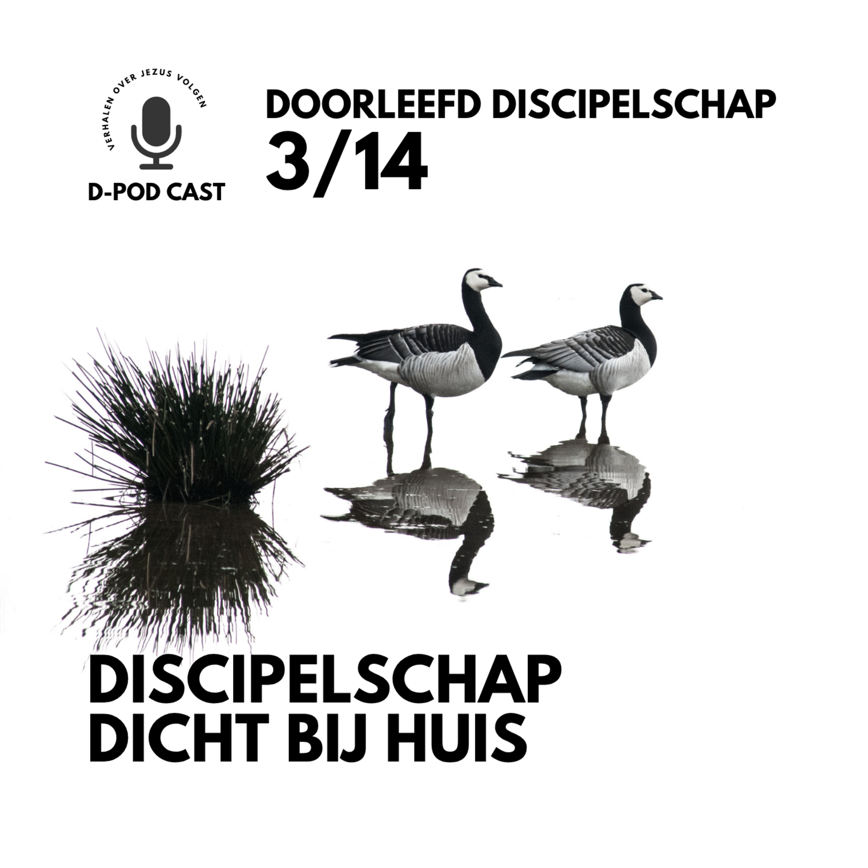Discipelschap dicht bij huis l Foppe Wiersma en Mart-Jan van der Maas episode artwork