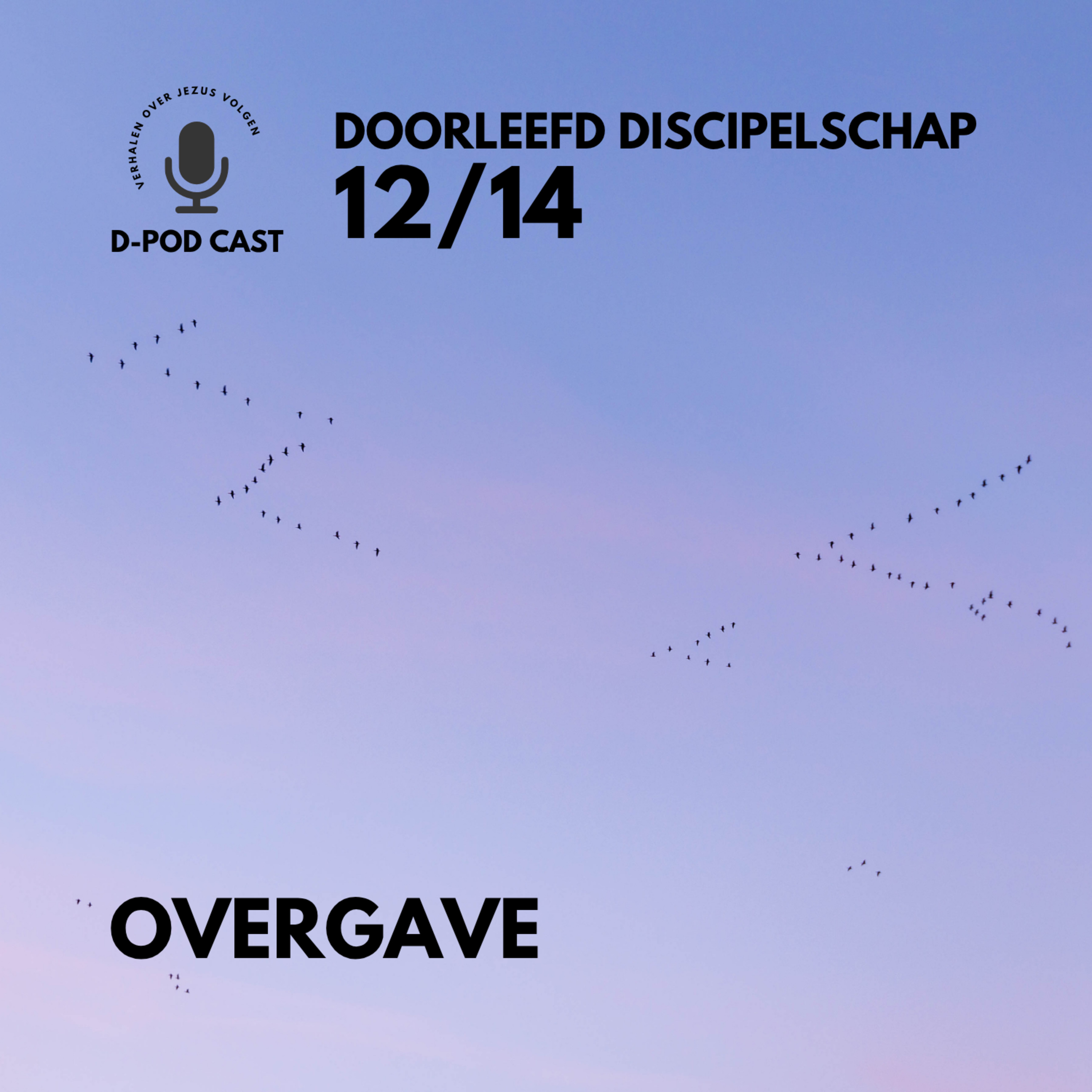 Overgave l Tjerk van Dijk en Mart-Jan van der Maas episode artwork