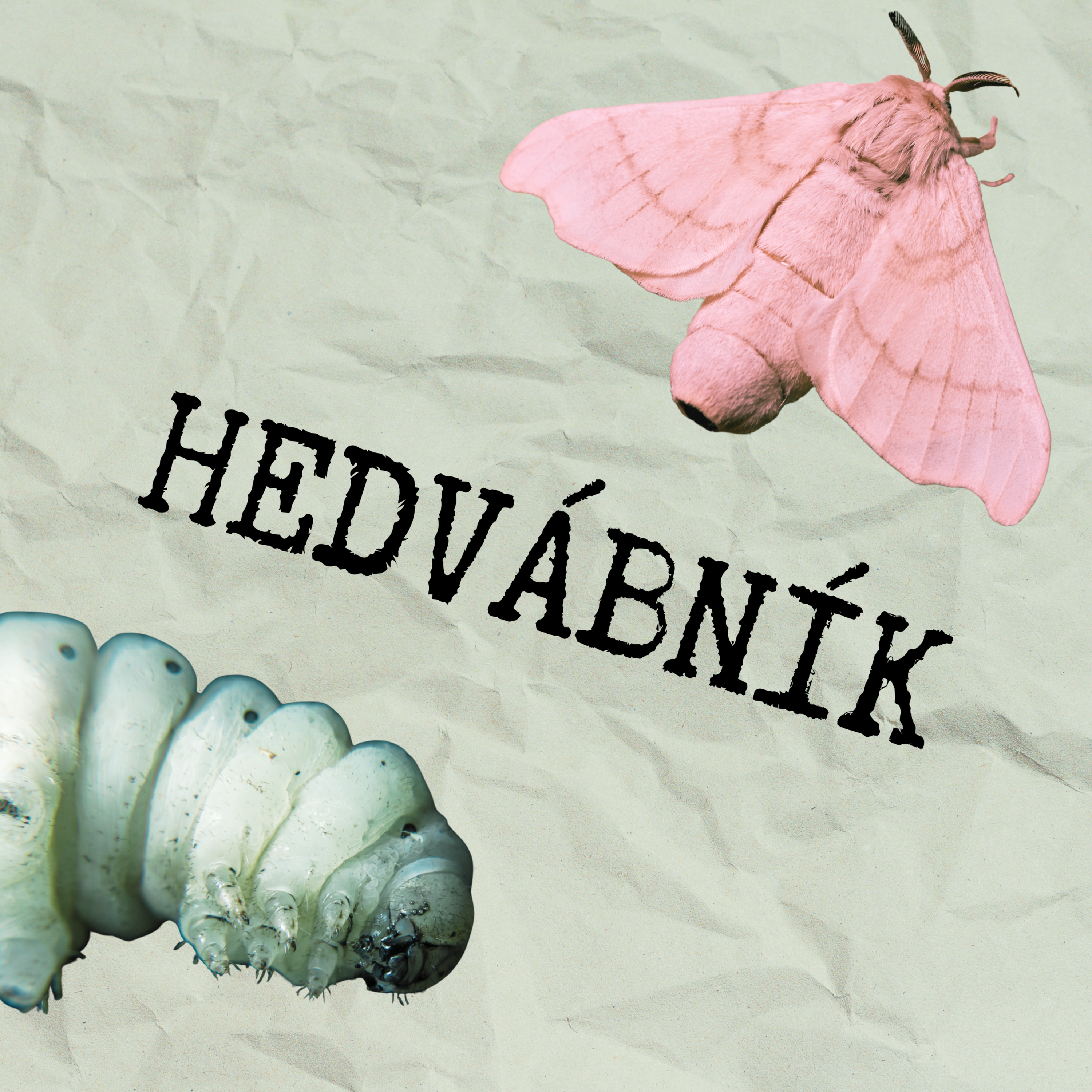 Hedvábník 1