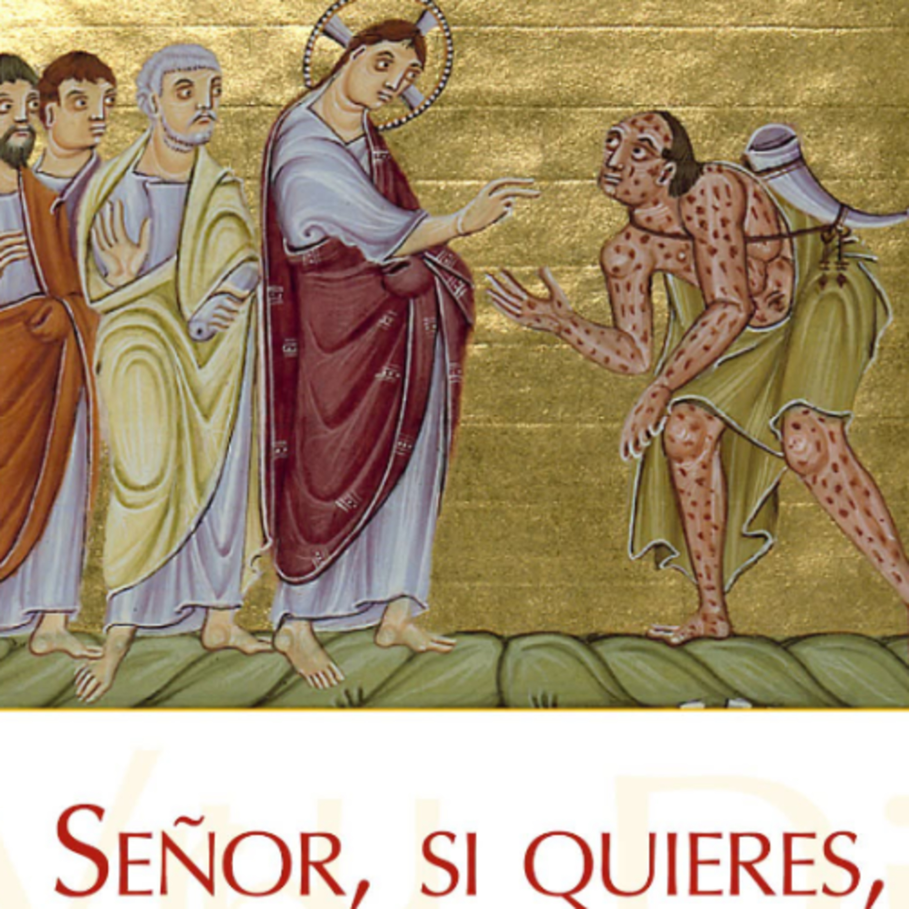 Santo Evangélio Diario 26:de junio Mons Enrique Diaz Diaz  episode artwork