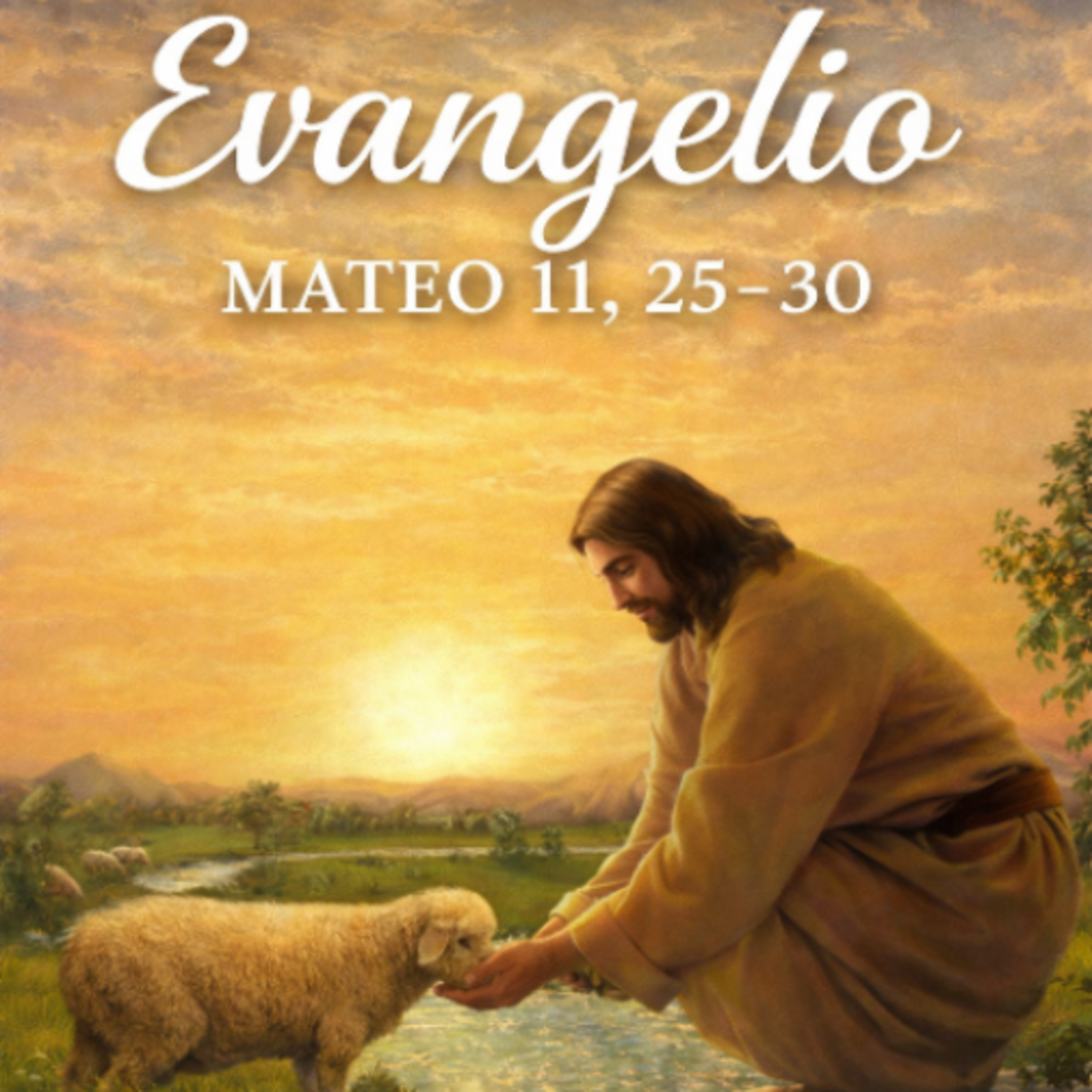 Evangelio Diario 5 de Julio Mons Enrique Diaz Diaz  episode artwork