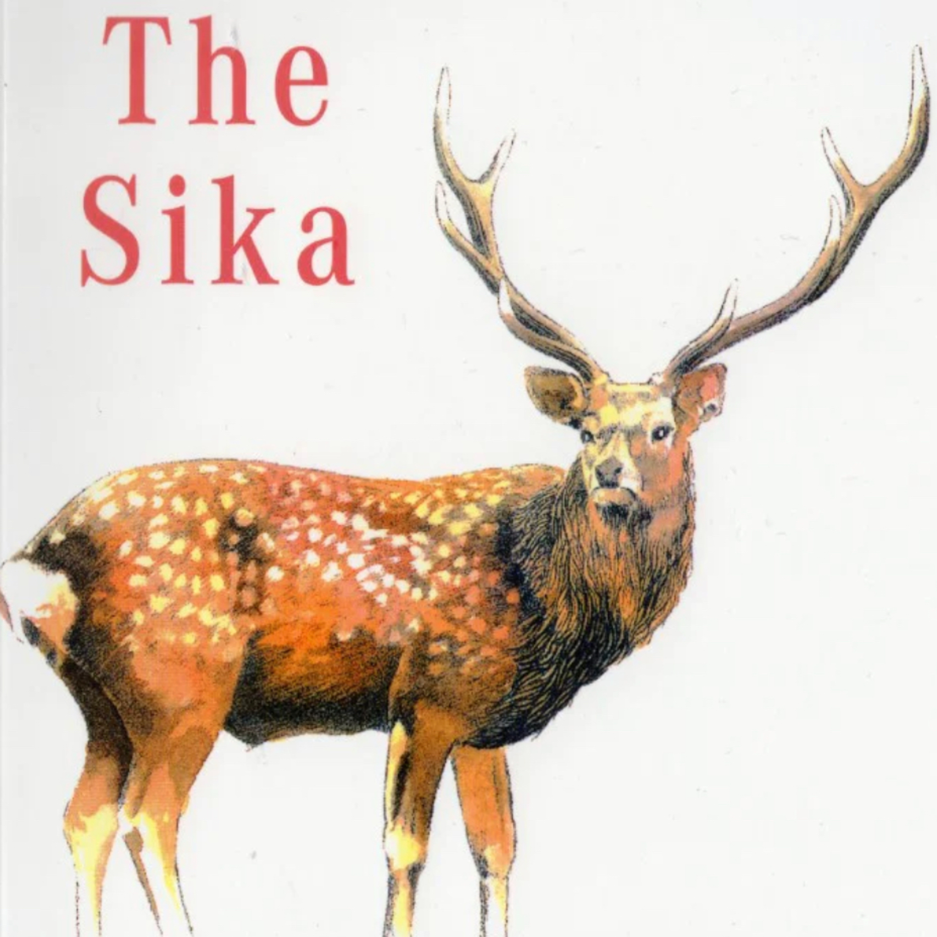 The Stag Roar: Life Less Ordinary