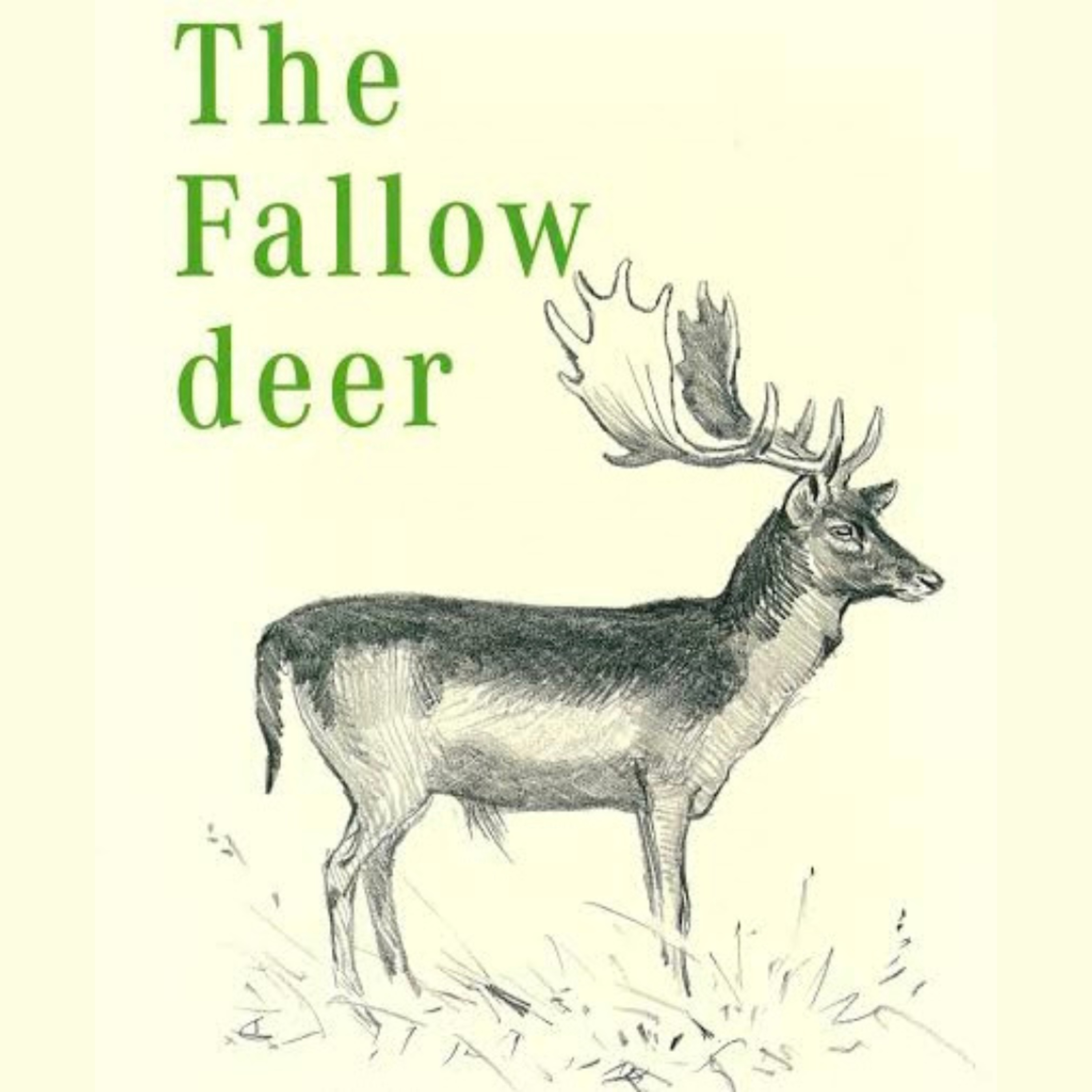 The Stag Roar: Life Less Ordinary