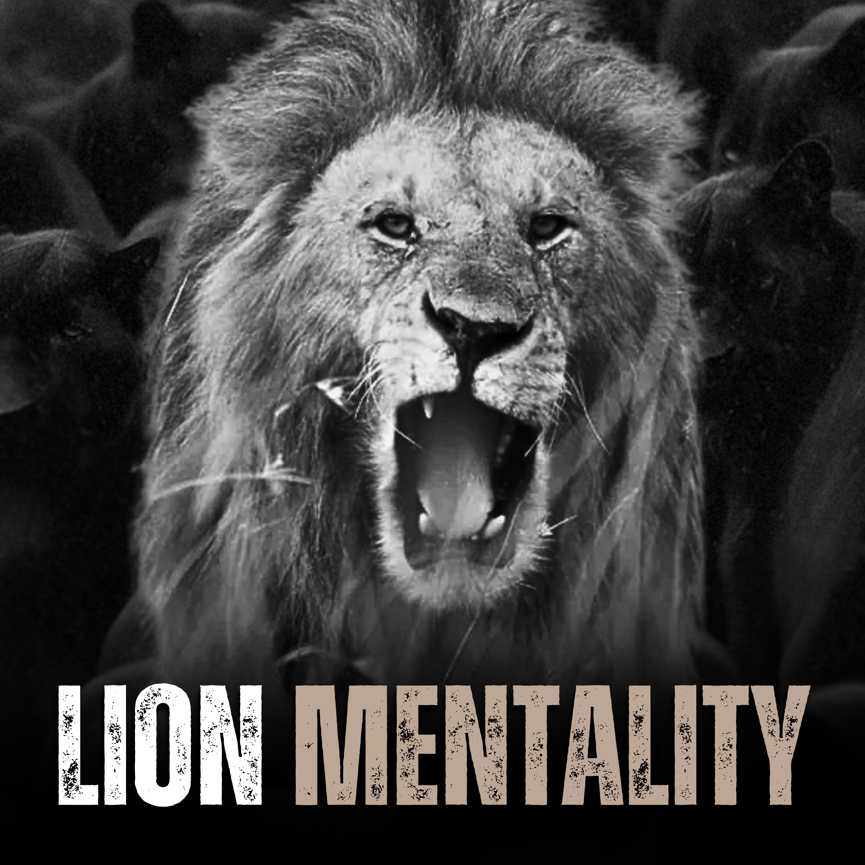 LION MENTALITY - Motivational Speech episode artwork