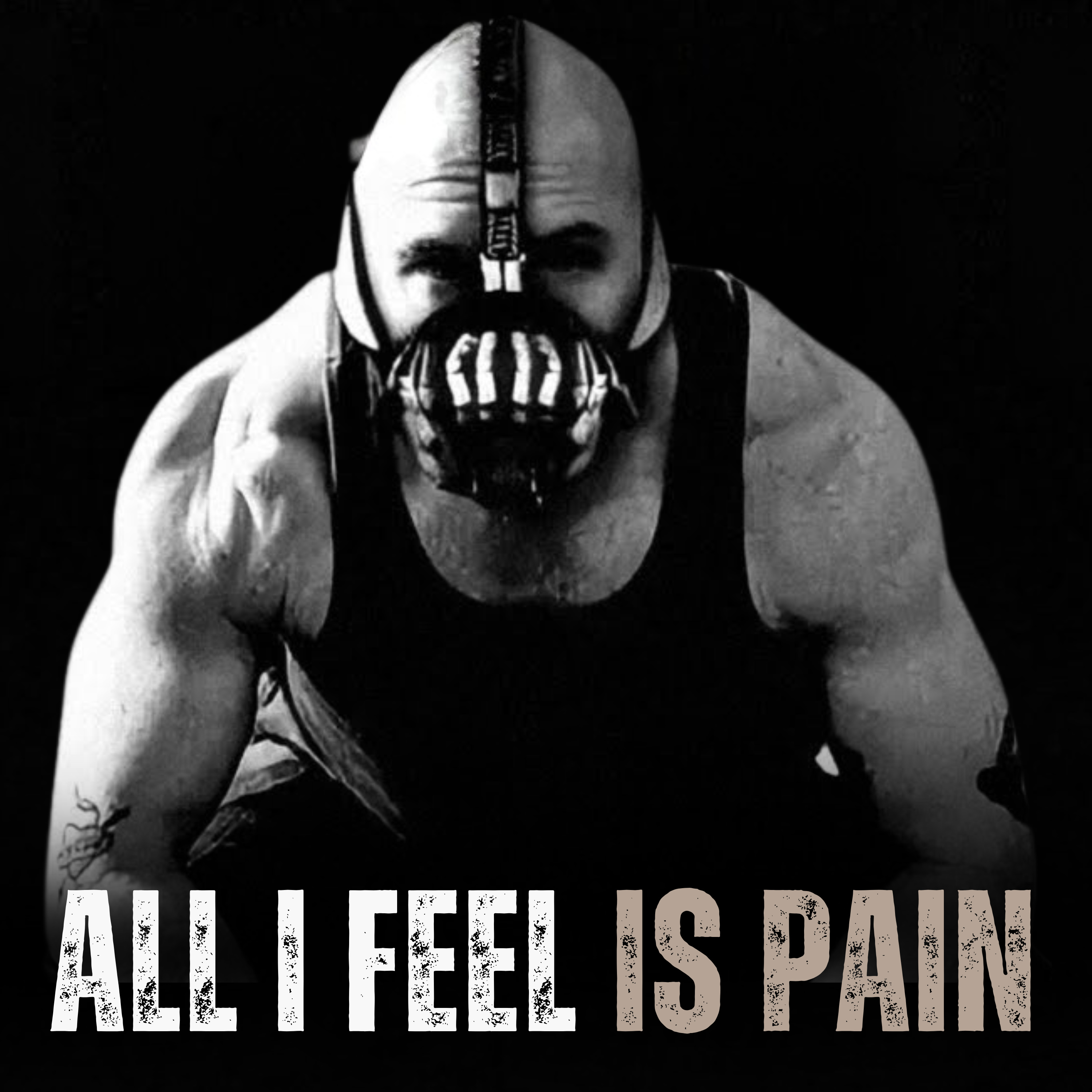 WELCOME TO THE PAIN ZONE - Motivational Speech episode artwork