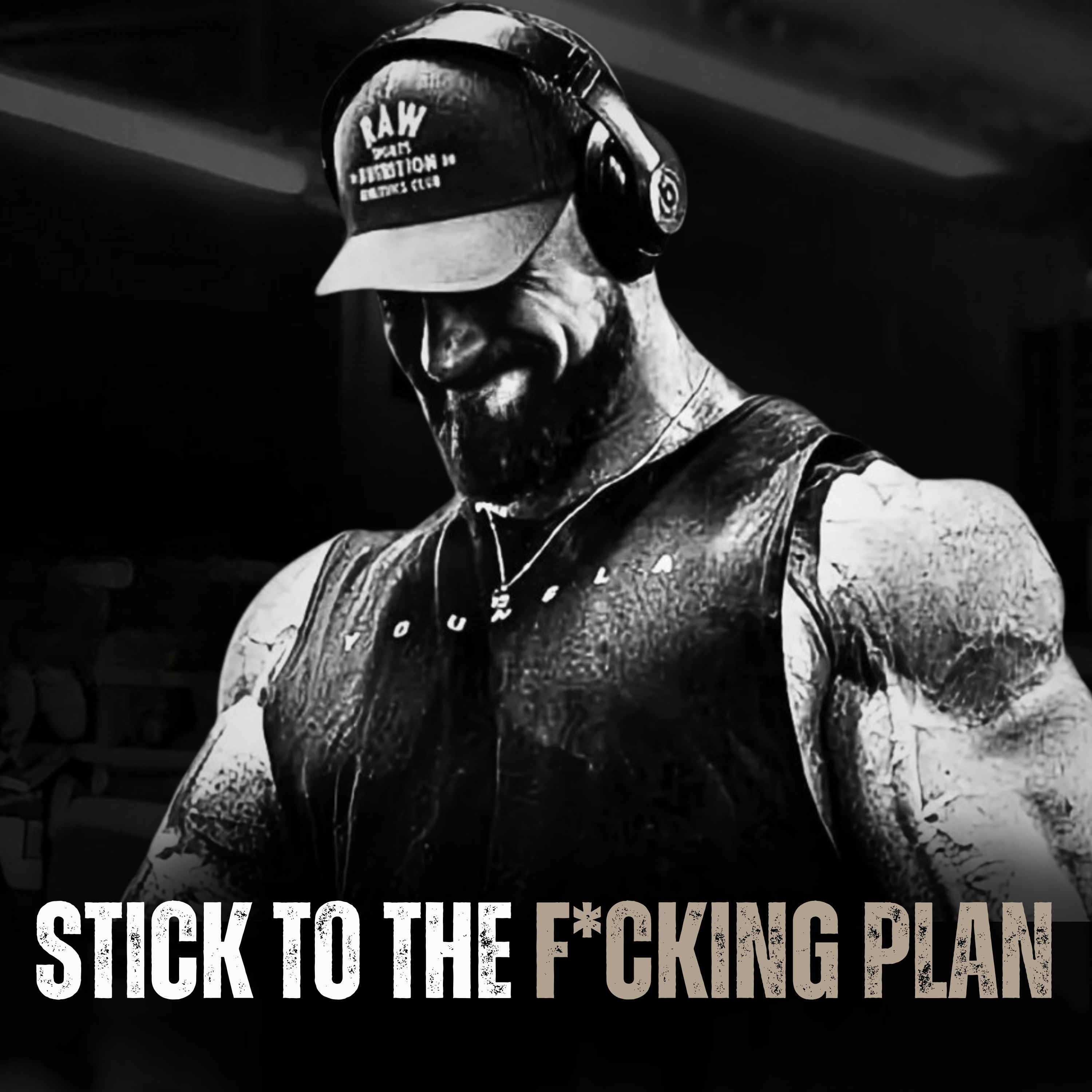 STICK TO THE F*CKING PLAN - Motivational Speech episode artwork