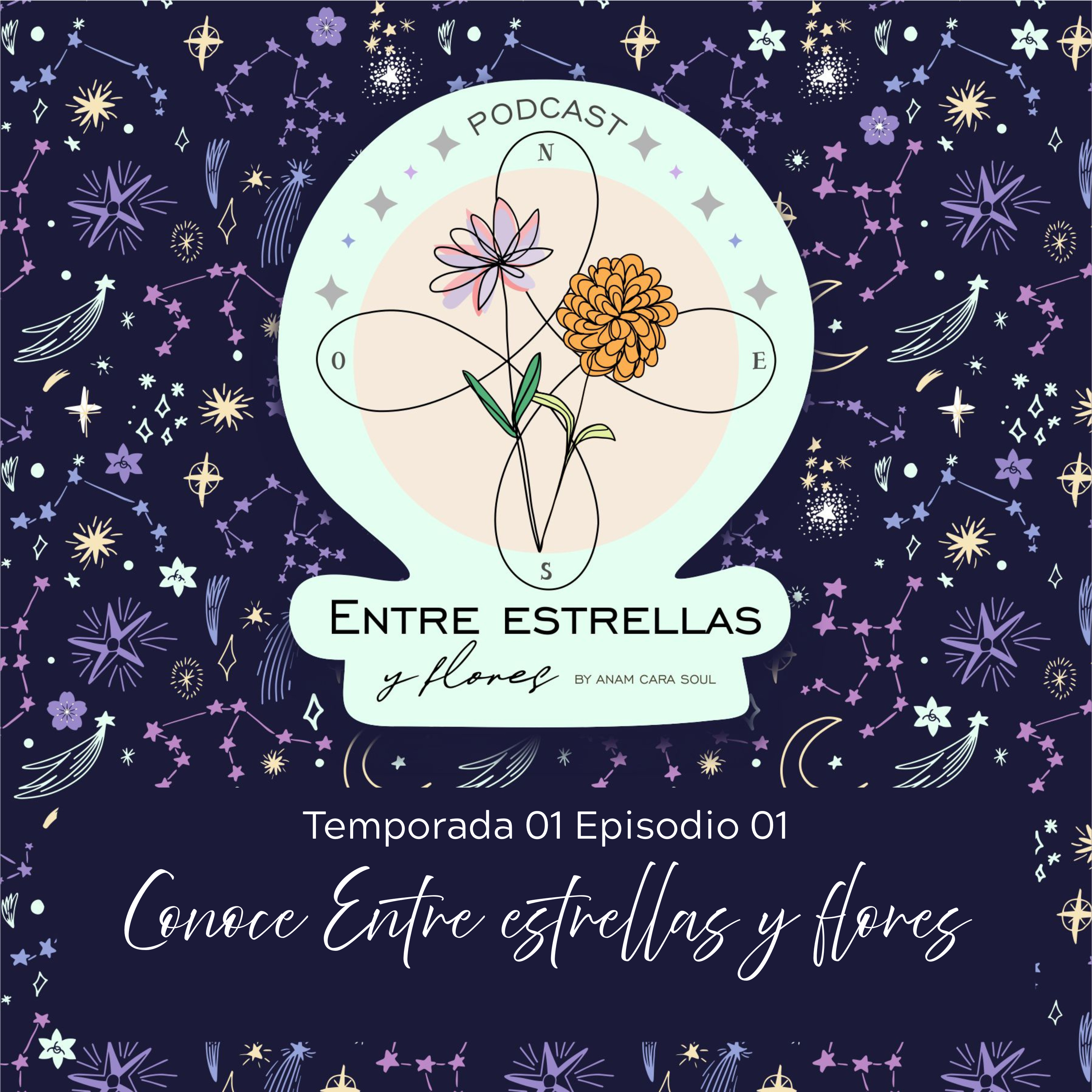 Episodio Piloto- Conoce Entre estrellas y flores episode artwork