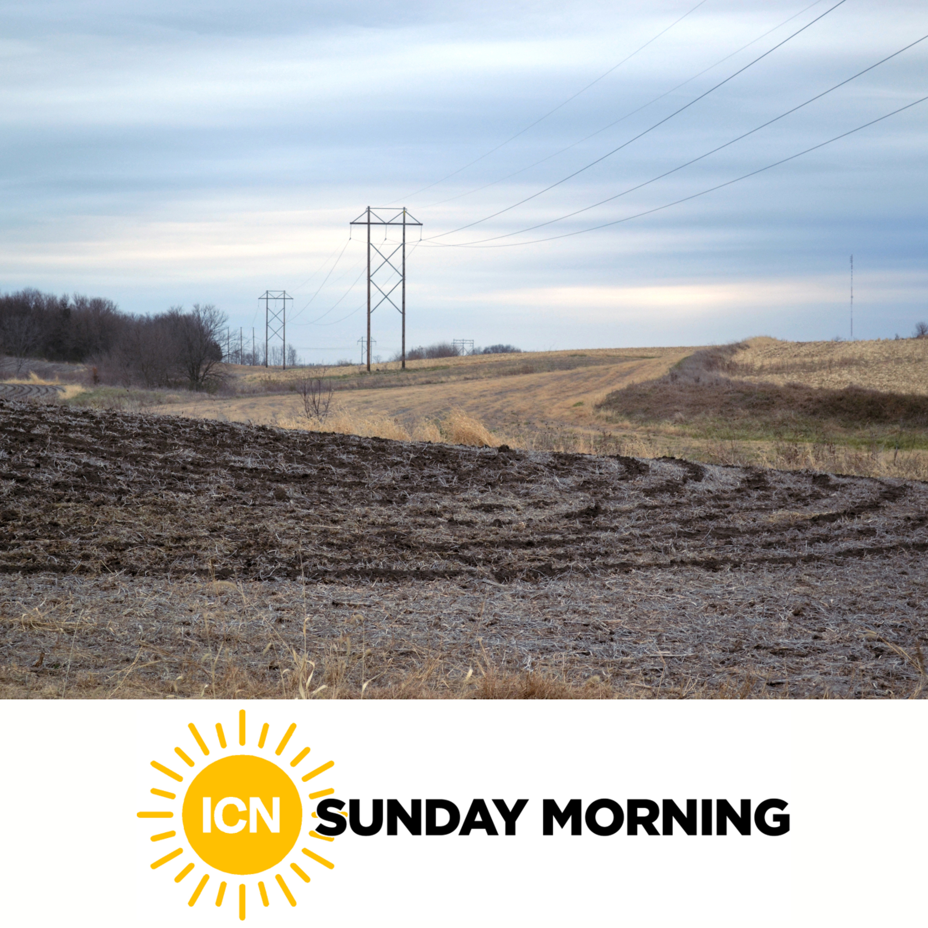 ICN Sunday Morning: Where Does 110 Billion Pounds of Manure Go? episode artwork