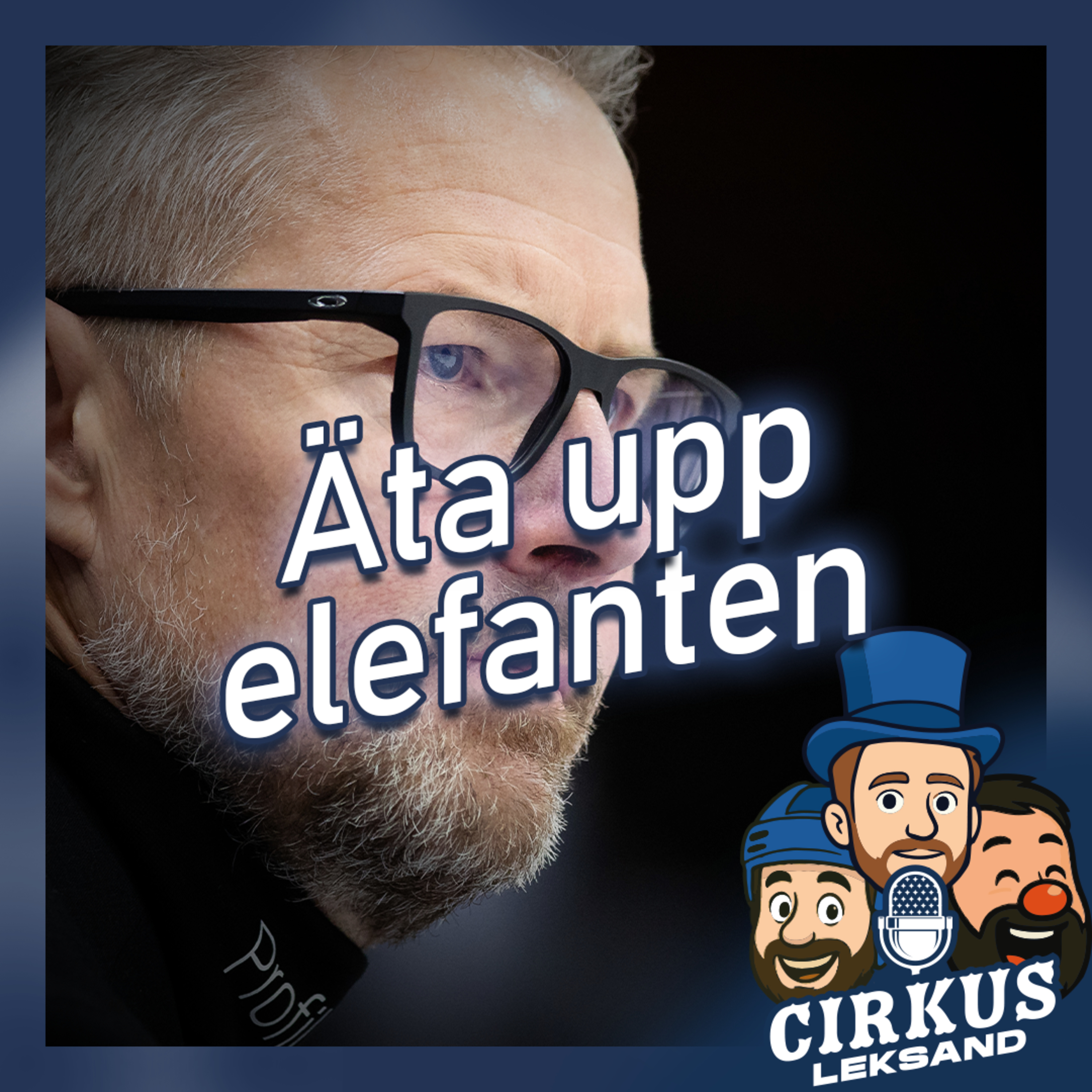 Cirkus Leksand