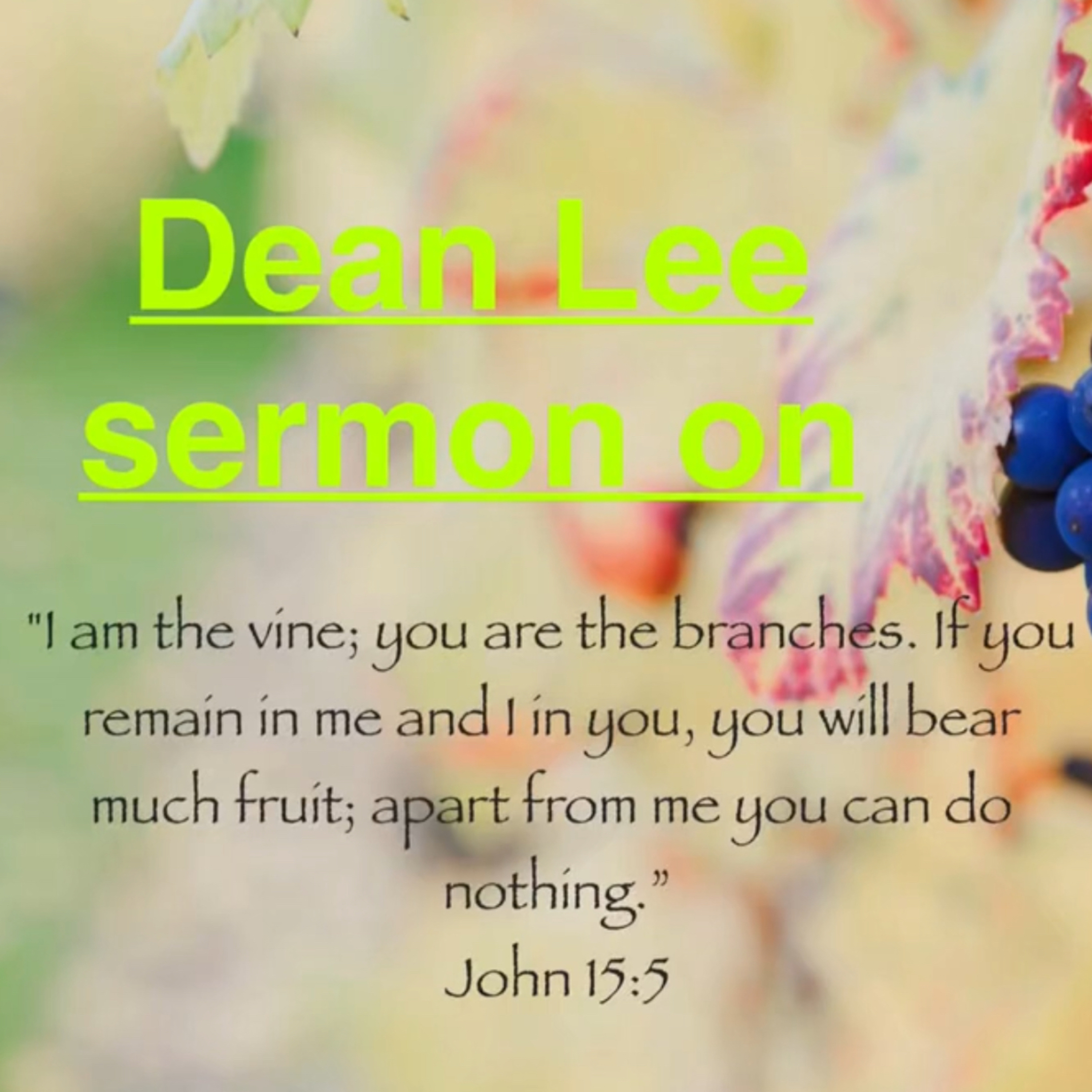 Dean lee sermon on John 15 episode artwork
