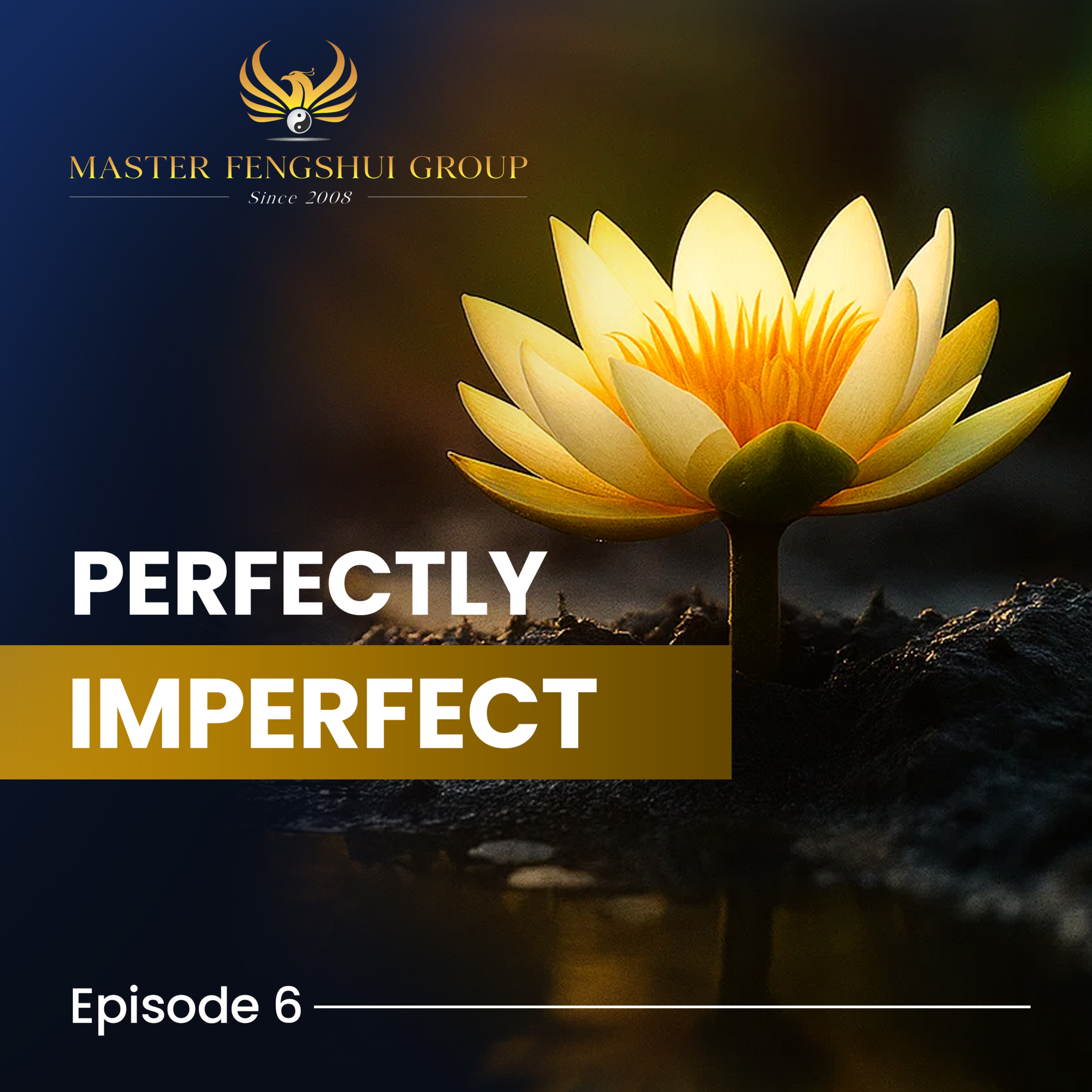 Perfectly Imperfect episode artwork
