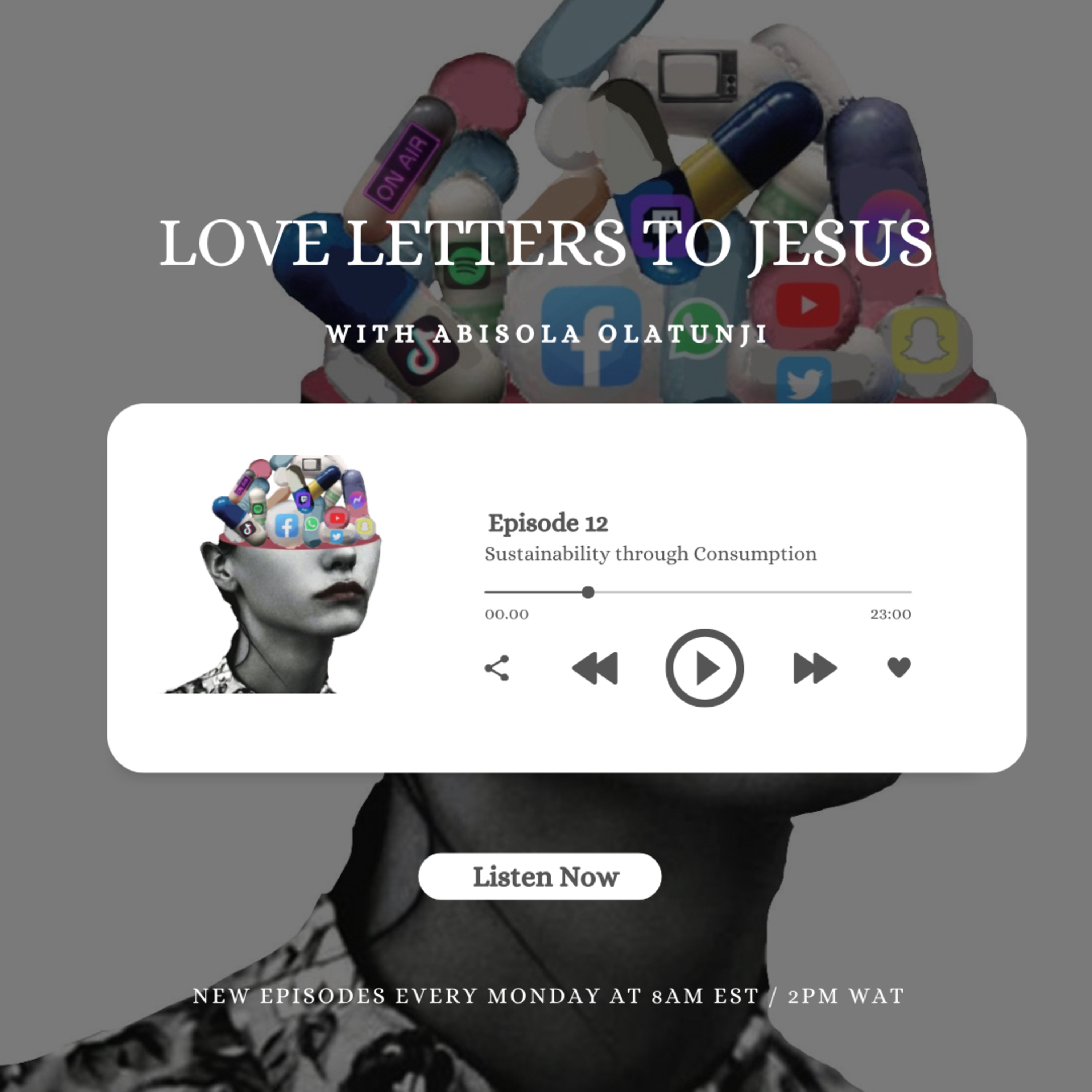 Sustainability through Consumption episode artwork
