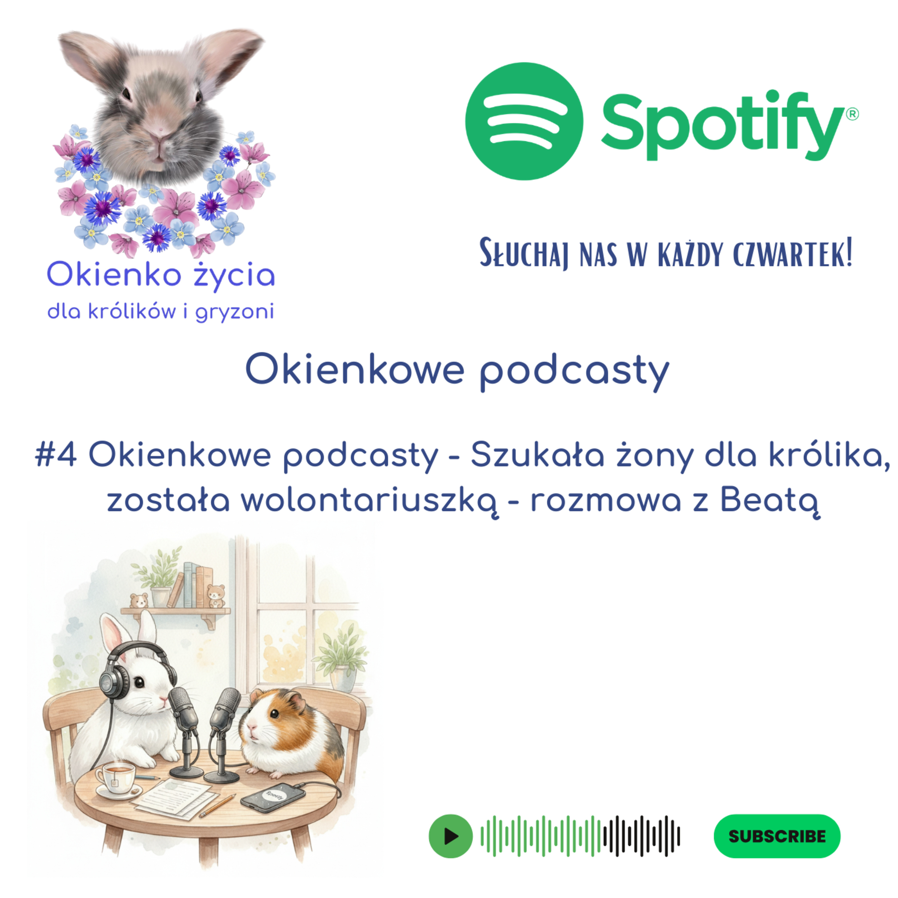 #4 Okienkowe podcasty - Szukała żony dla królika, została wolontariuszką - rozmowa z Beatą episode artwork