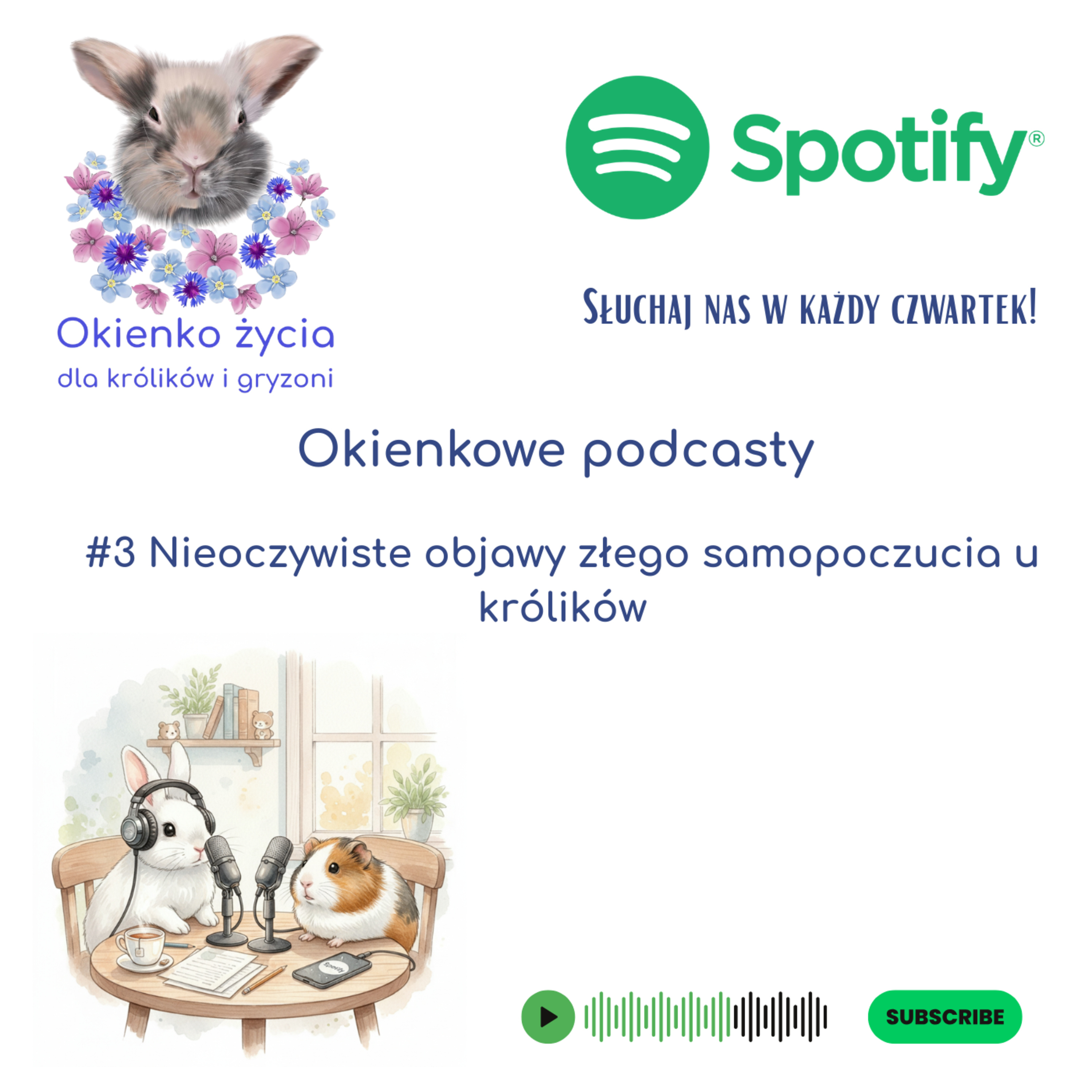 #3 Okienkowe podcasty - Nieoczywiste objawy złego samopoczucia u królików episode artwork
