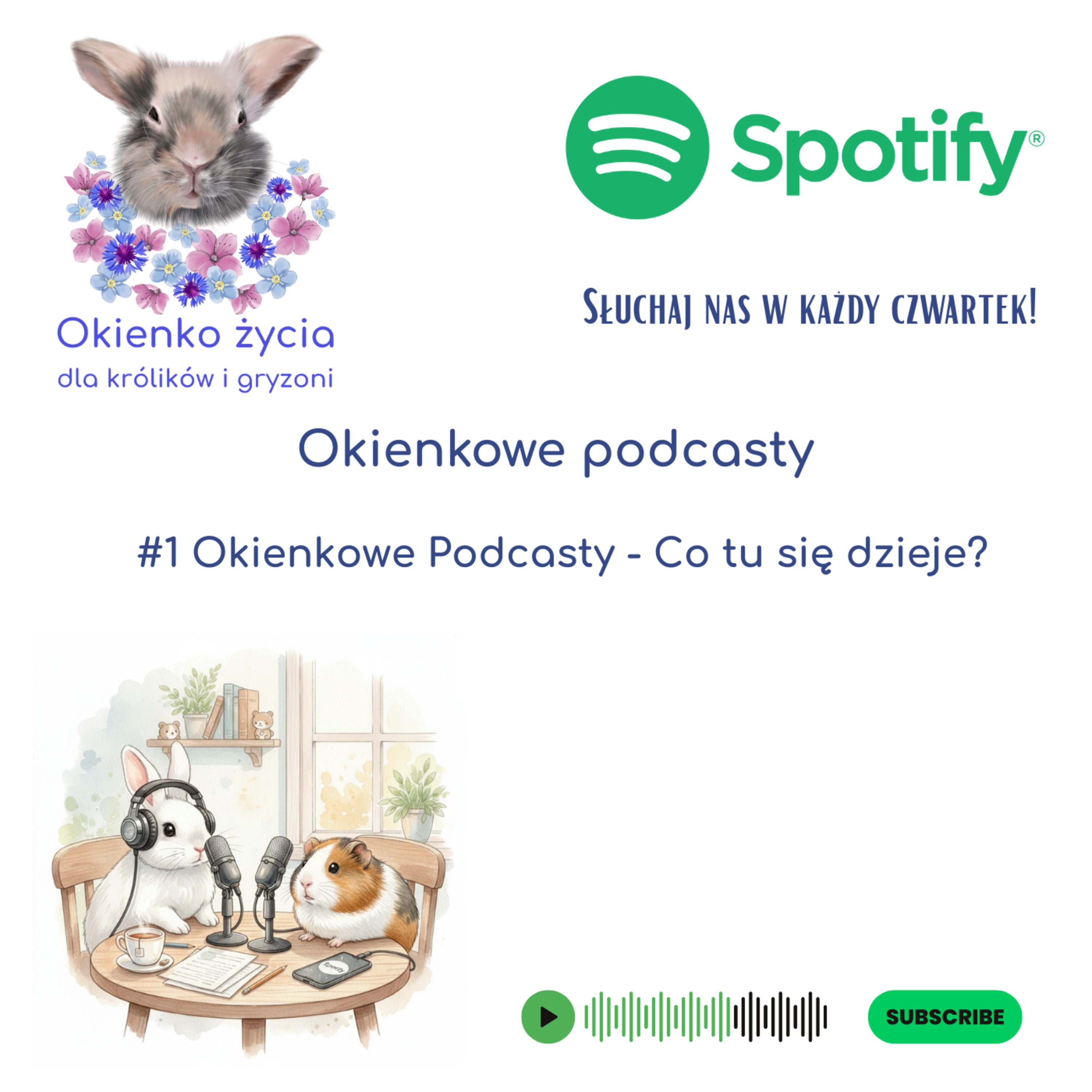 #1 Okienkowe Podcasty - Co tu się dzieje? episode artwork