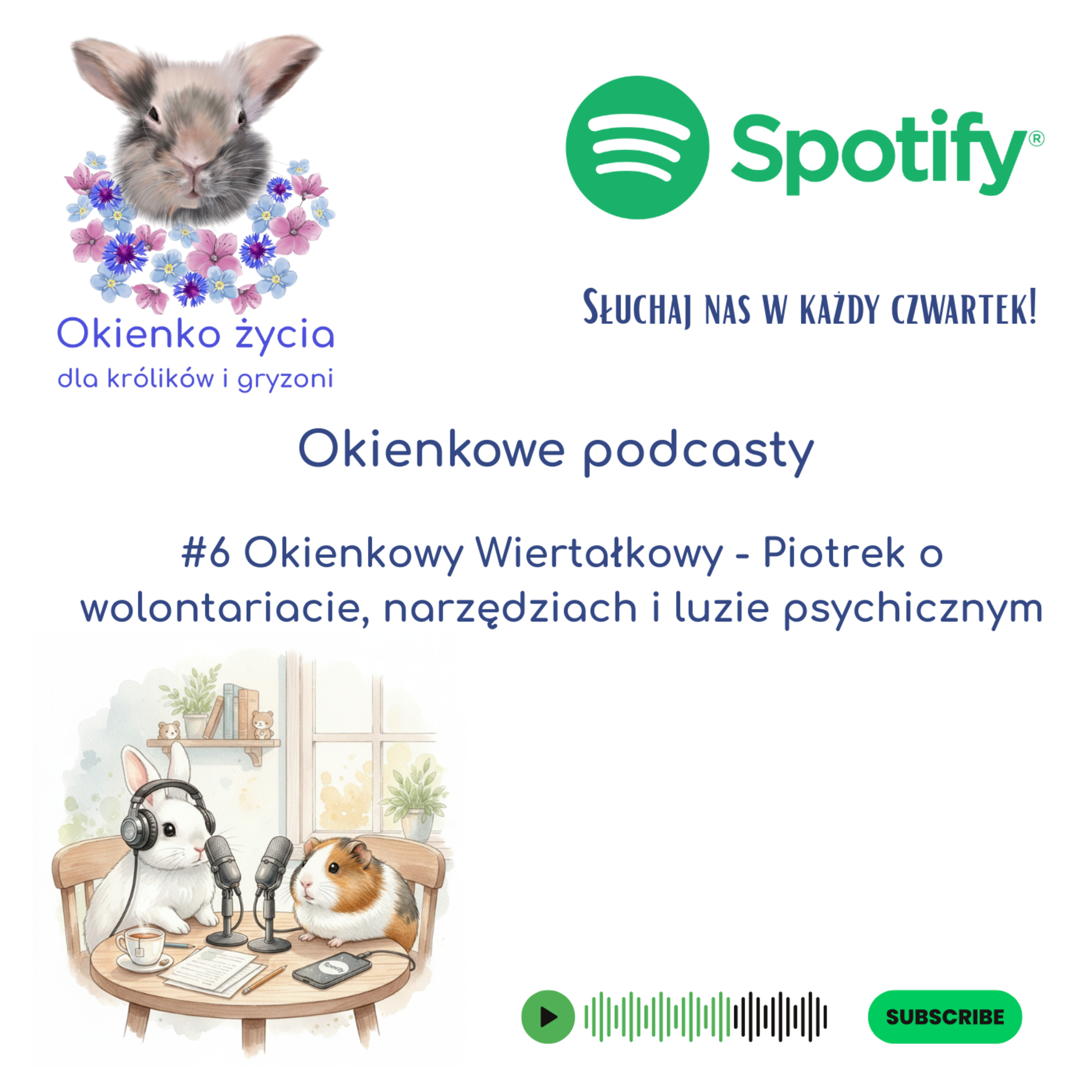 #6 Okienkowy Wiertałkowy - Piotrek o wolontariacie, narzędziach i luzie psychicznym episode artwork