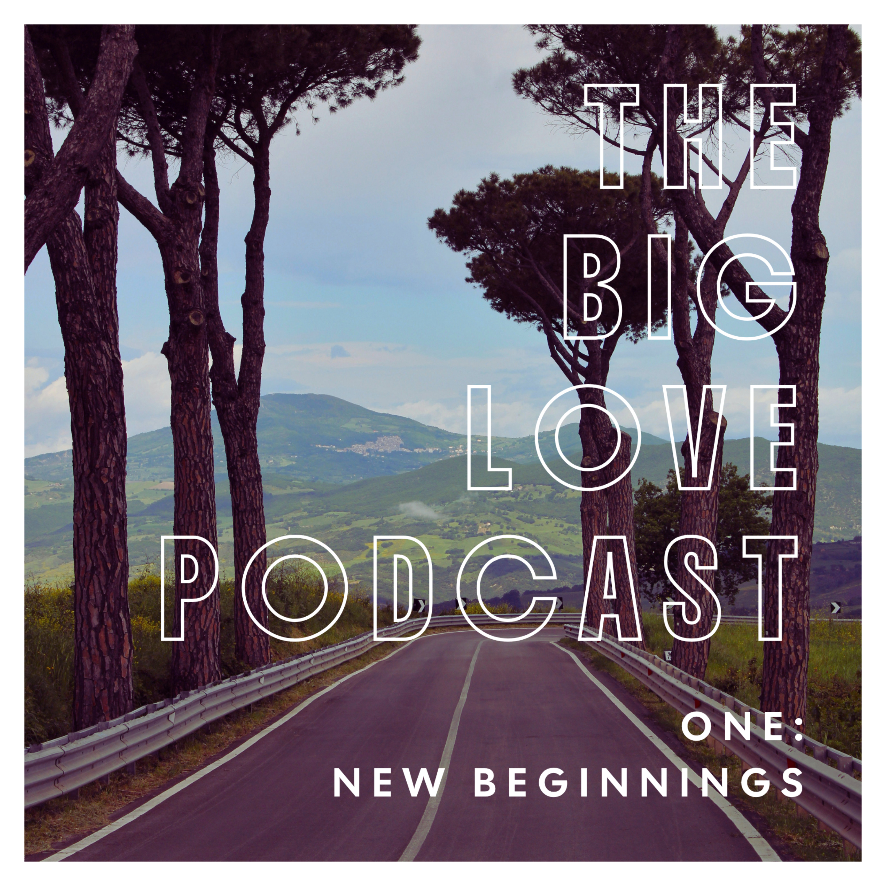 1. New Beginnings episode artwork