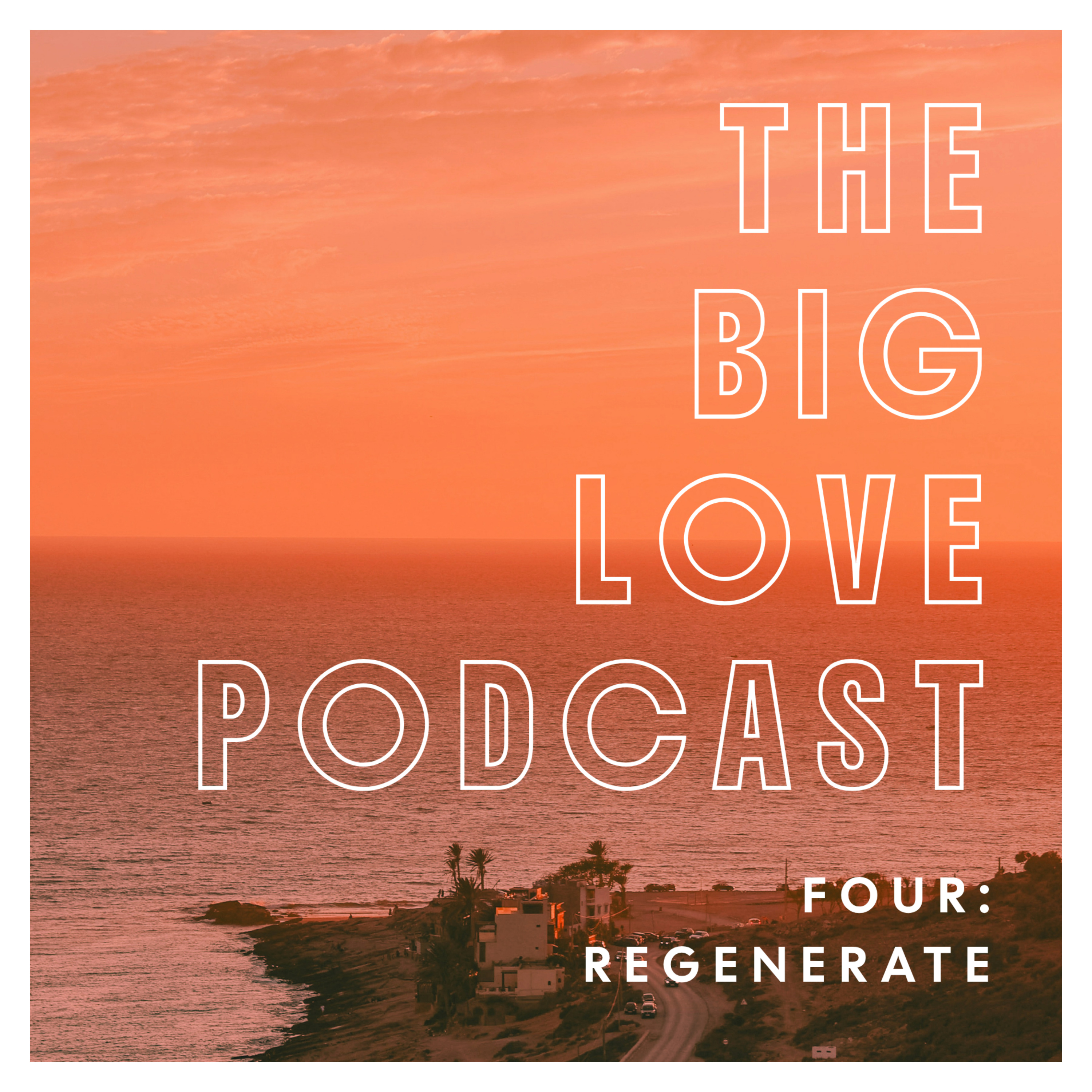 4. Regenerate episode artwork