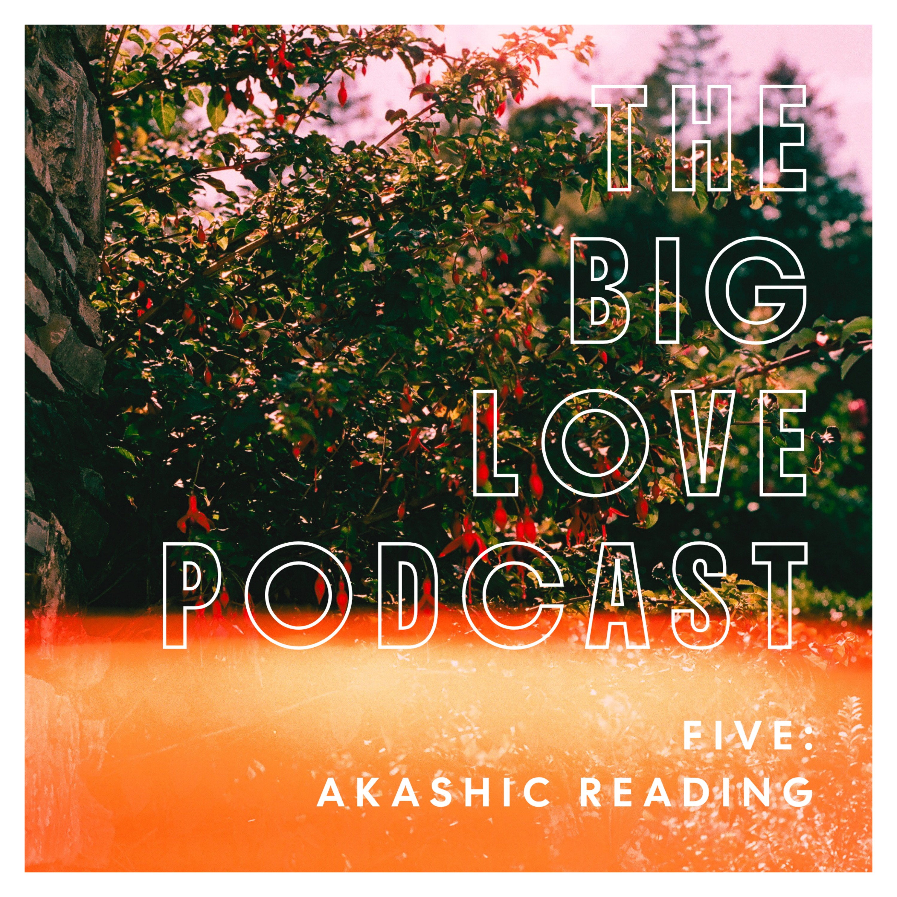 5. Akashic Record Reading for the Collective episode artwork