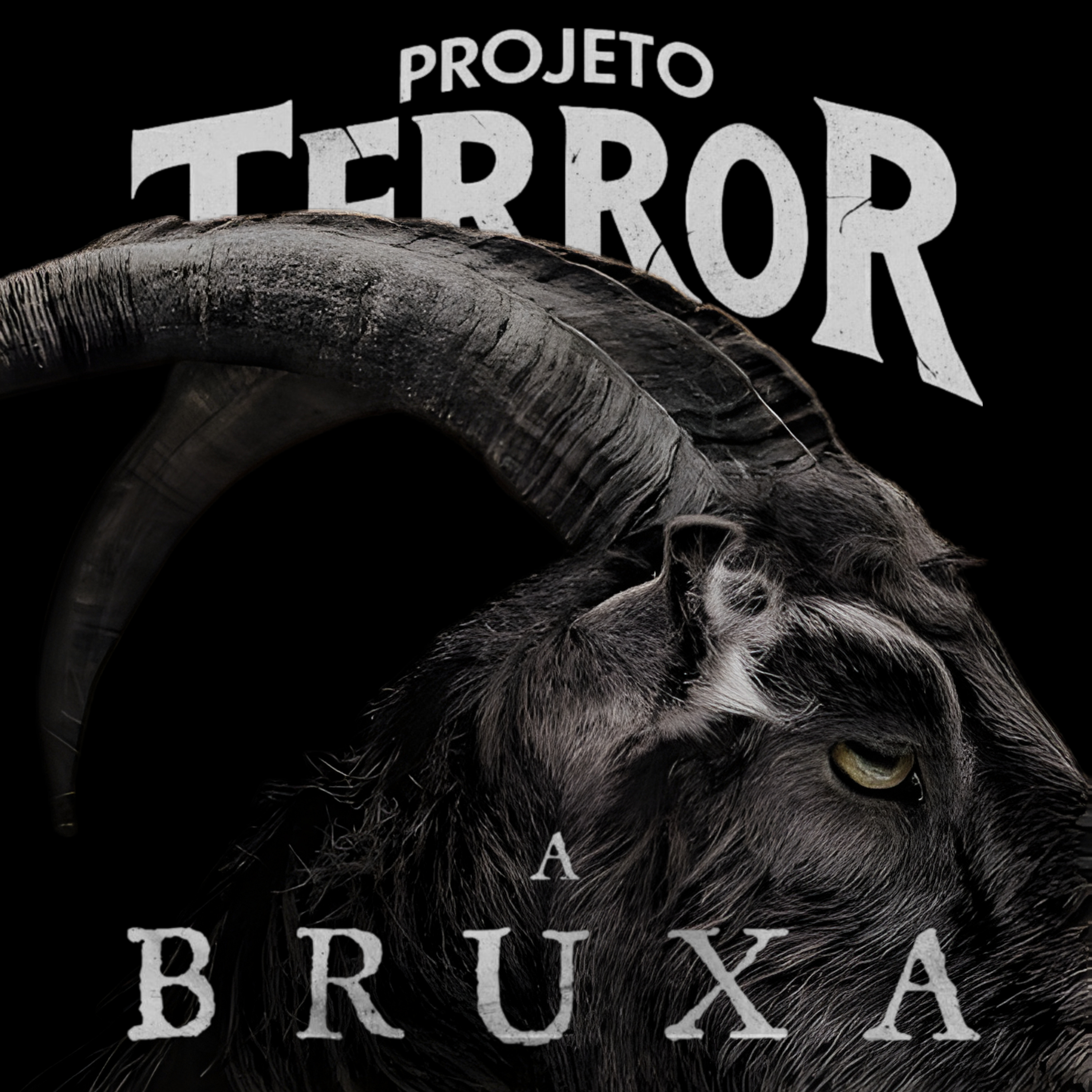Projeto Terror