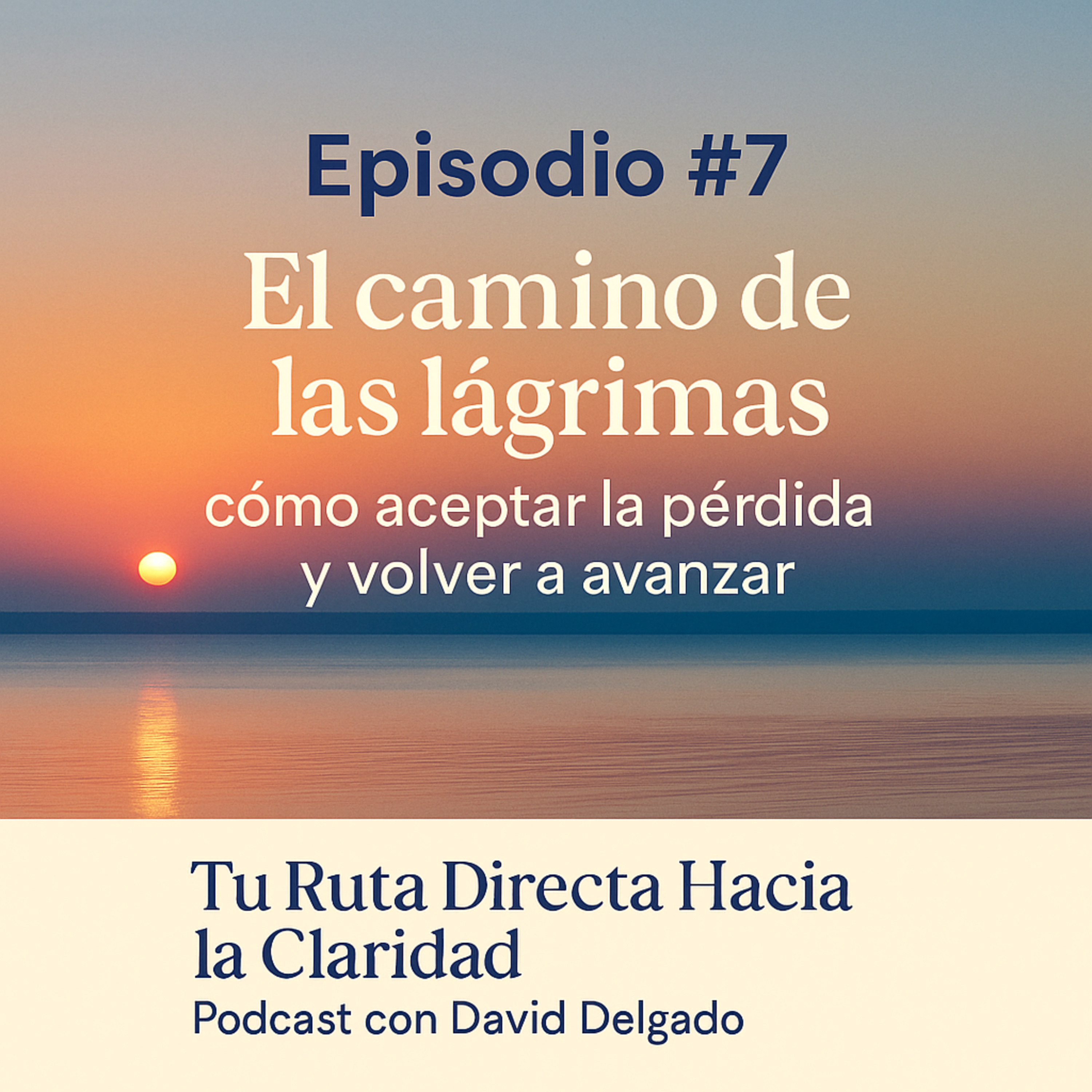 Tu Ruta Directa Hacia la Claridad