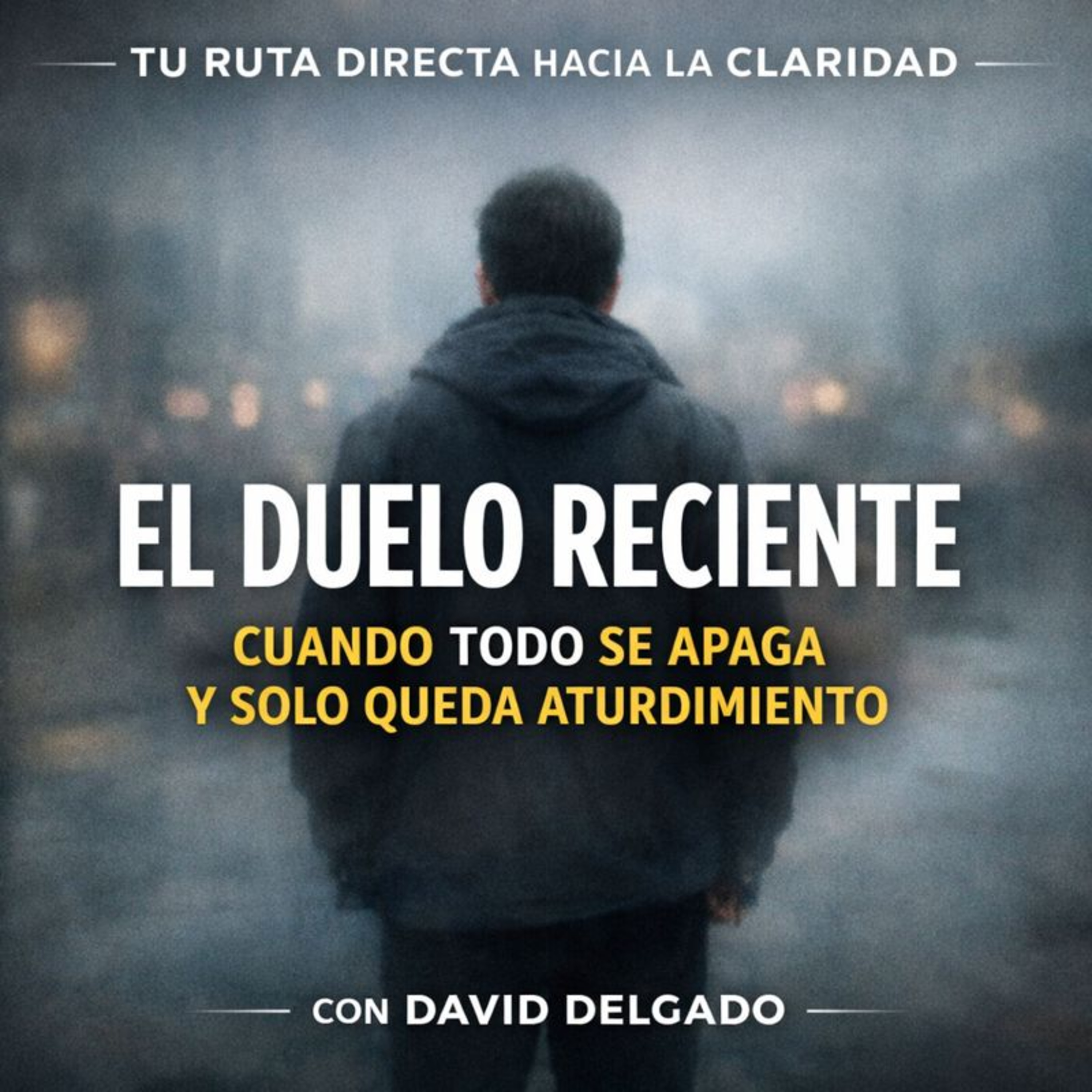 Tu Ruta Directa Hacia la Claridad