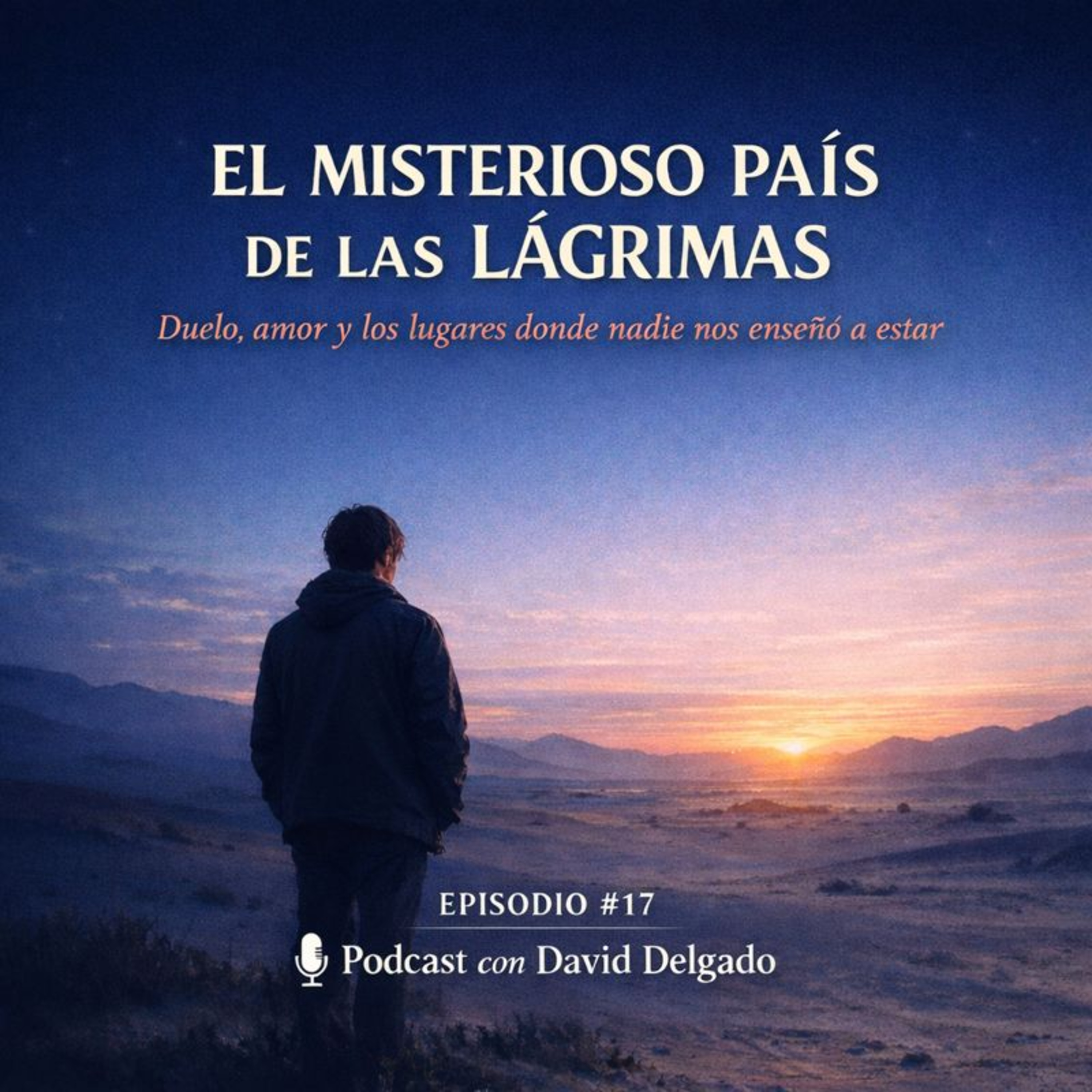 Tu Ruta Directa Hacia la Claridad