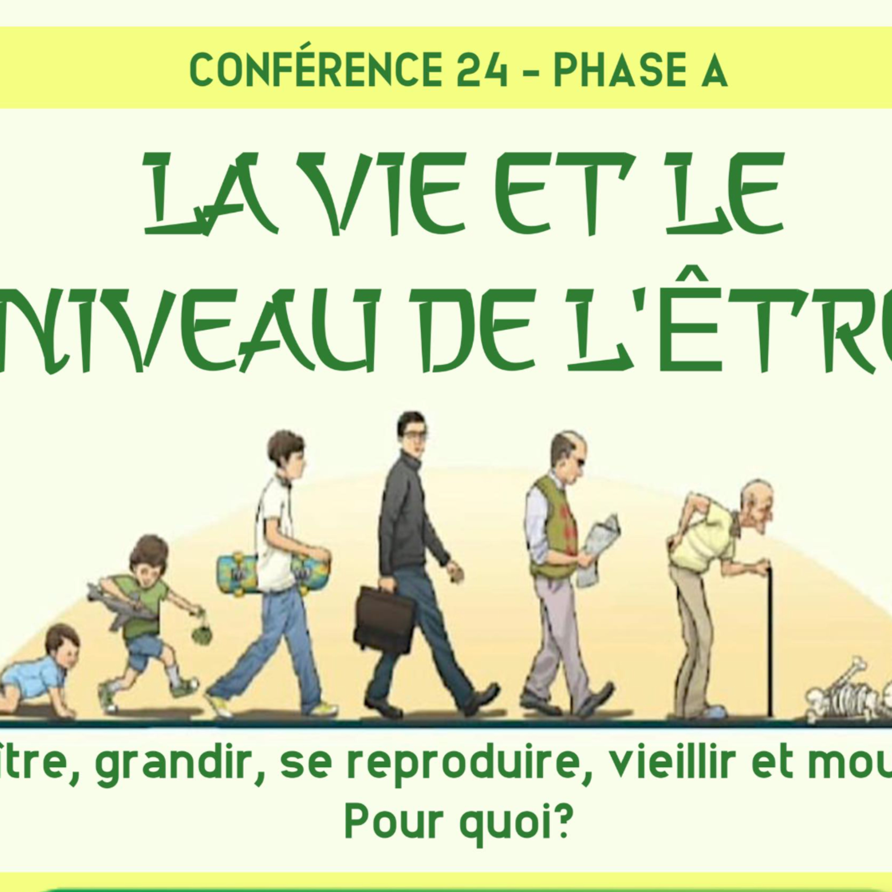 La Vie et le Niveau d'Être | Conférence 24 - Cours de Connaissance de Soi