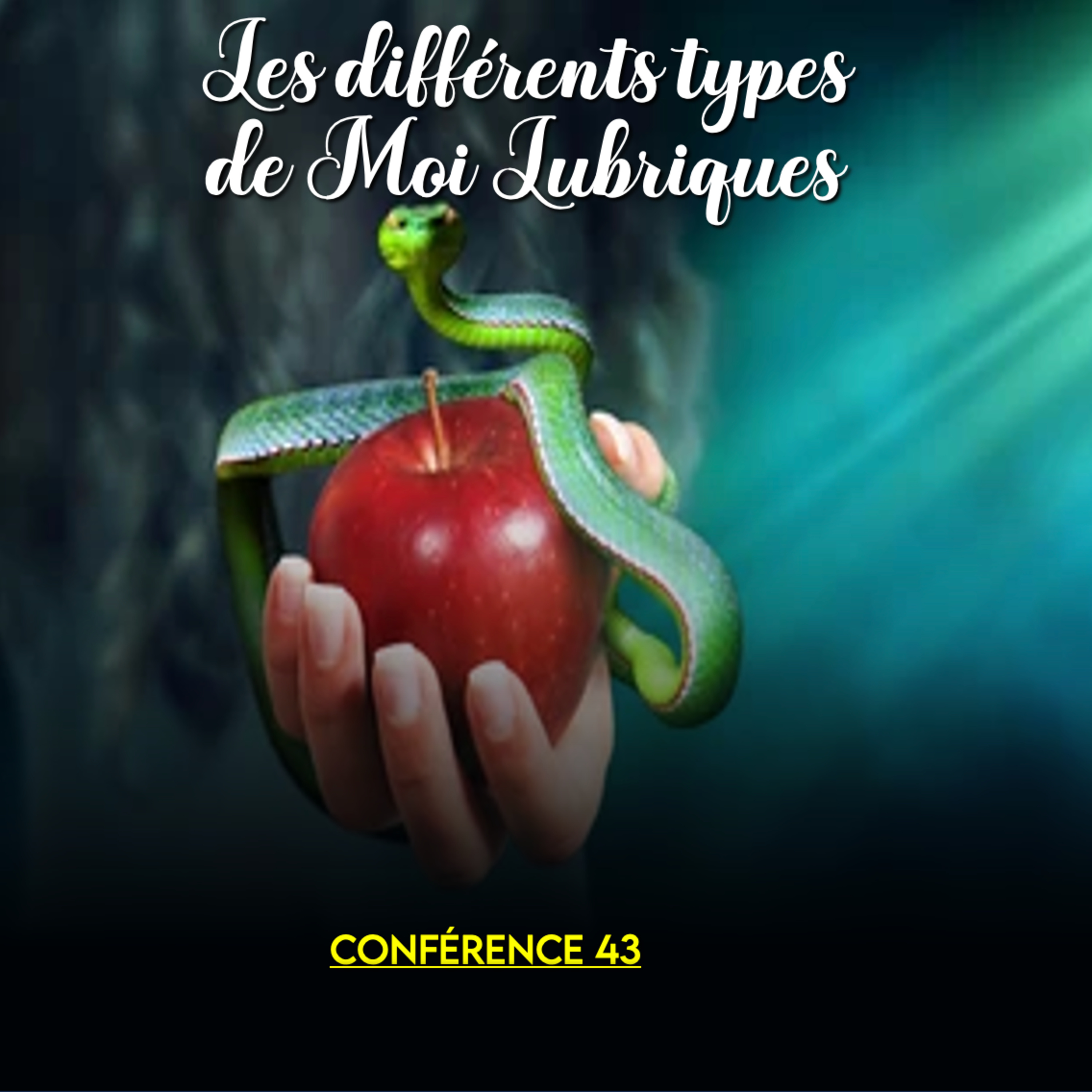 Les différents types de Moi Lubriques | Conférence 43 - Cours de Connaissance de Soi