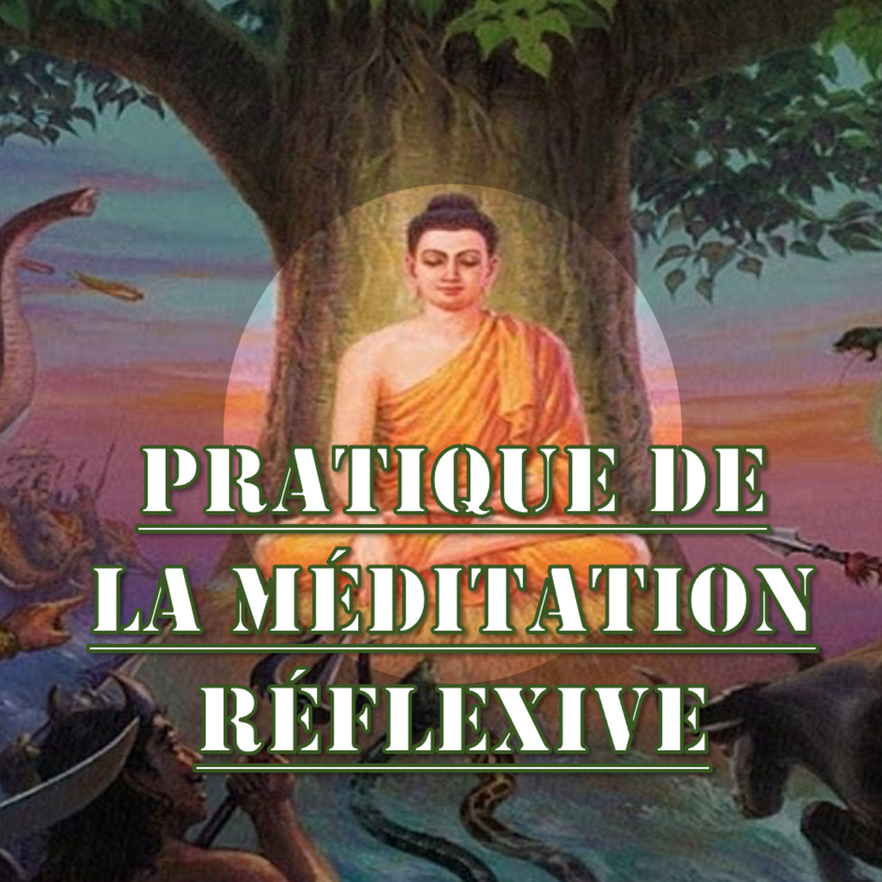 Pratique de la méditation réflexive | Conférence 2-B - Cours de Connaissance de Soi