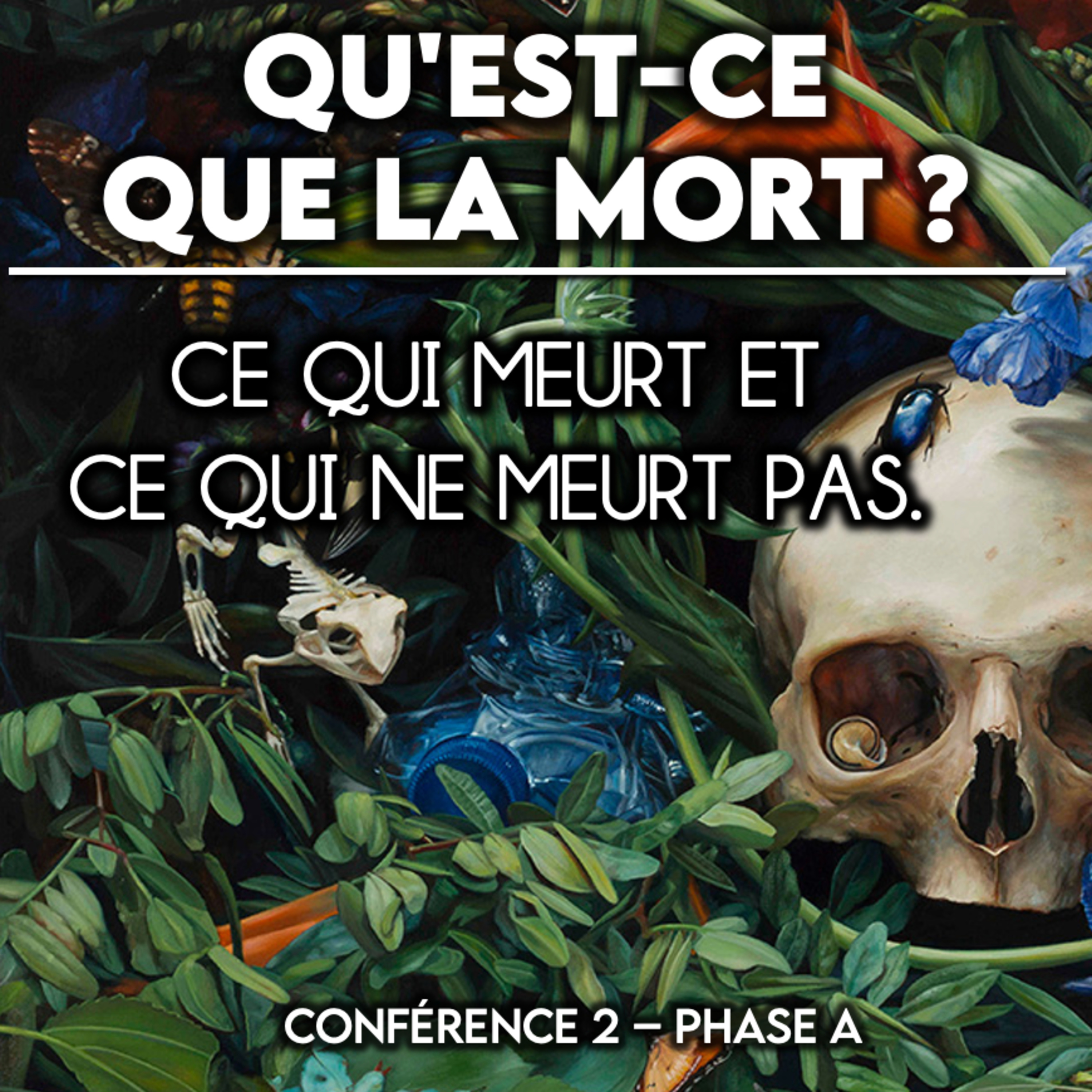 2. Qu'est ce que la mort ? episode artwork